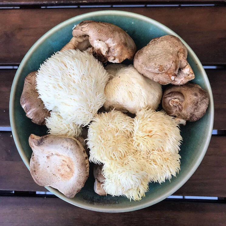 Lion's Mane &amp; Shiitake gourmet mushrooms