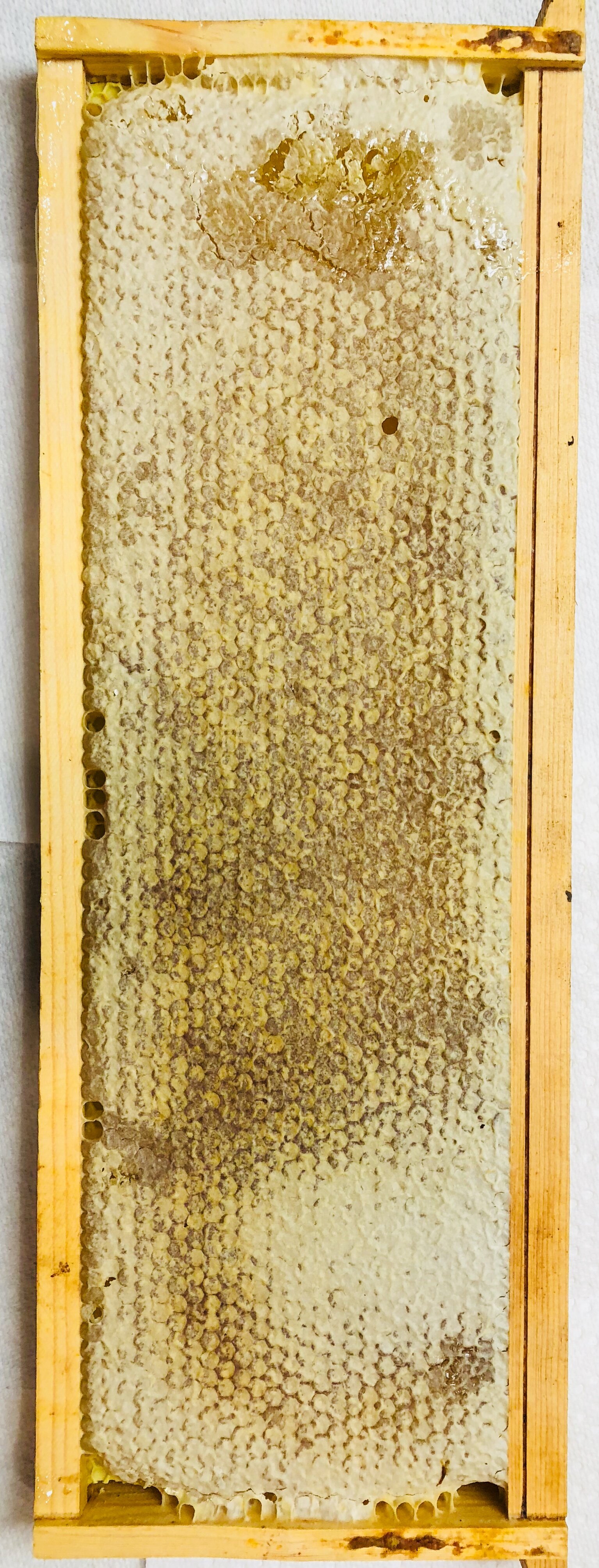 Honey in the frame