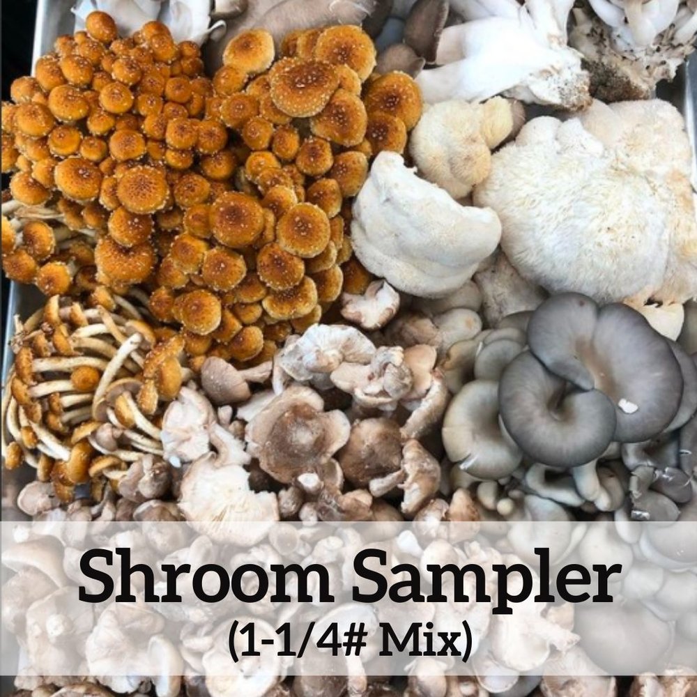 farms -- Shroom Sampler: 1-1/4# Mushroom Farm
