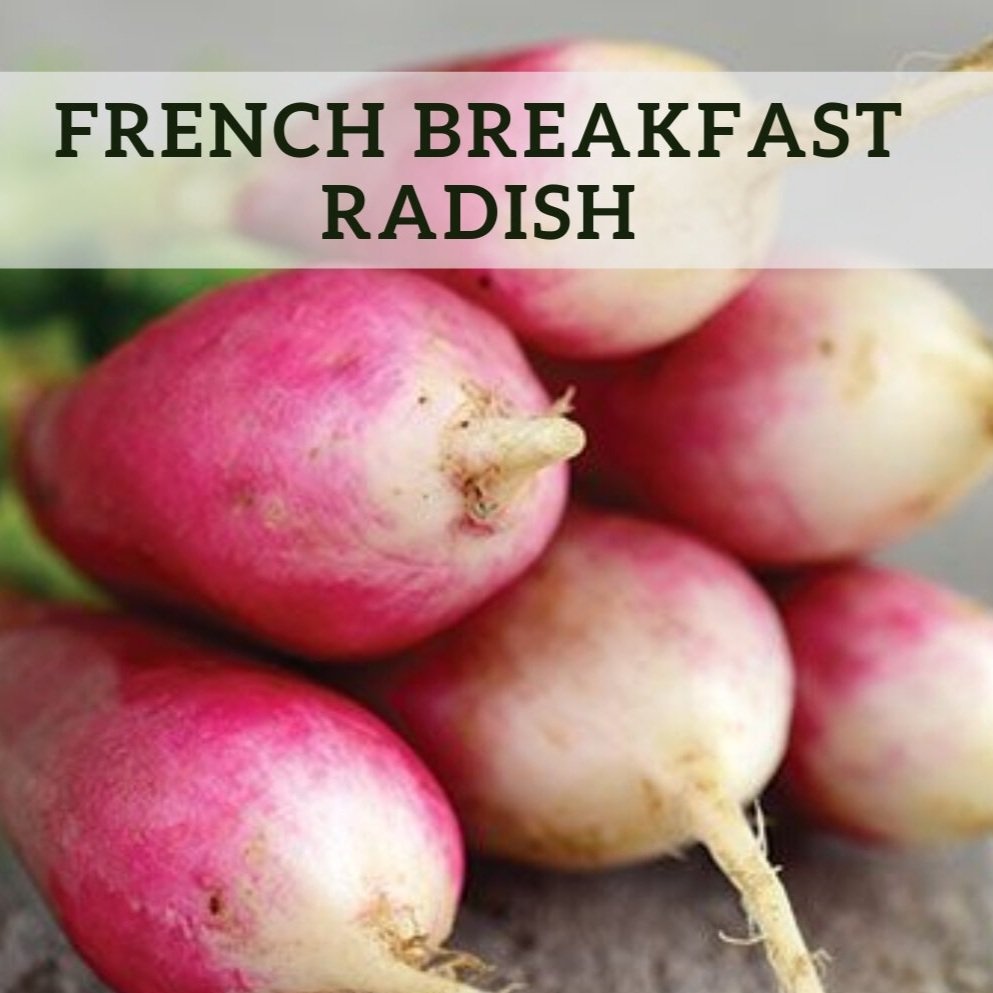 Fresh+herb+bunches+%2879%29.jpg