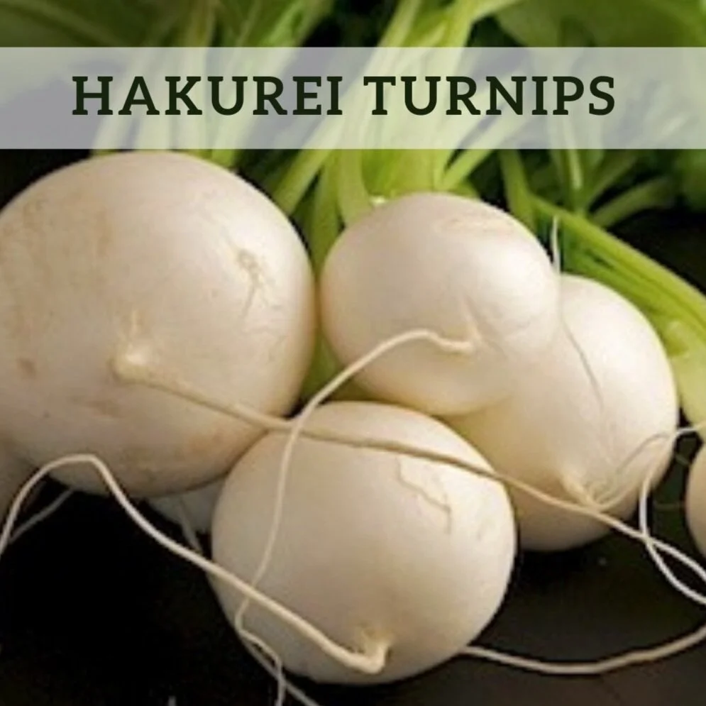 Fresh+herb+bunches+%2872%29.jpg