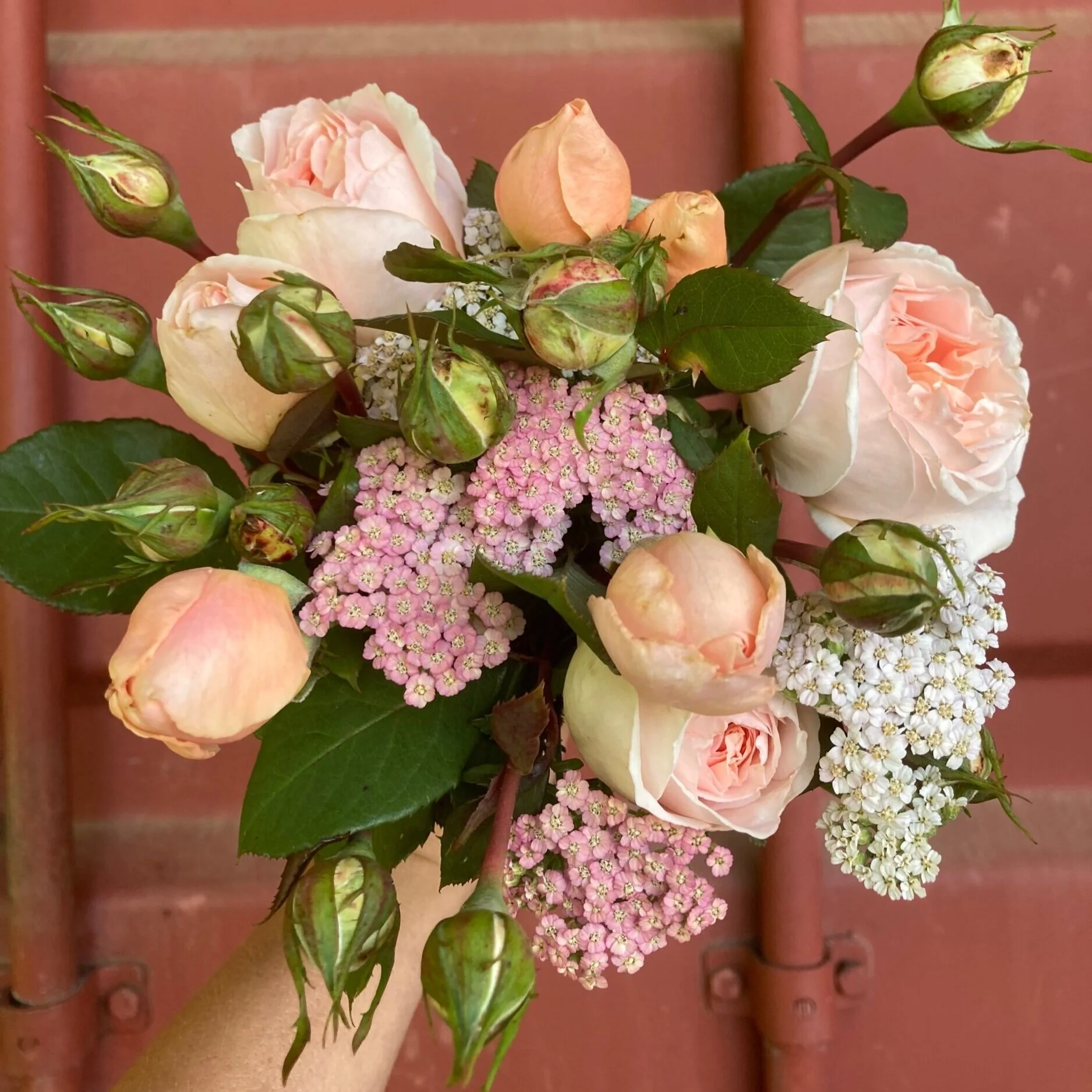 95AA4EA4-2E22-4A28-BB9C-AE626E276DC8