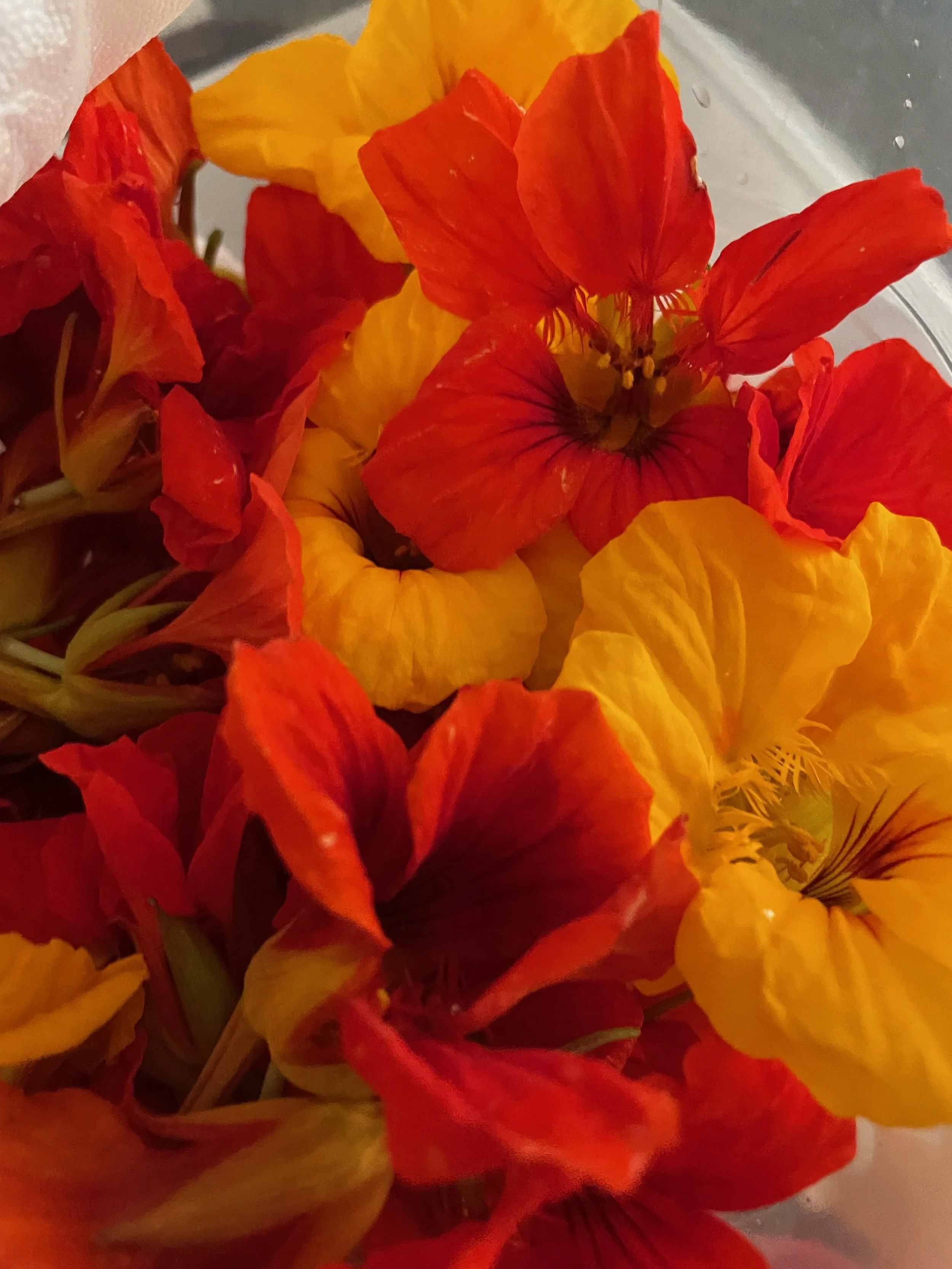 image0 - 2023-06-19T152745.288.jpeg