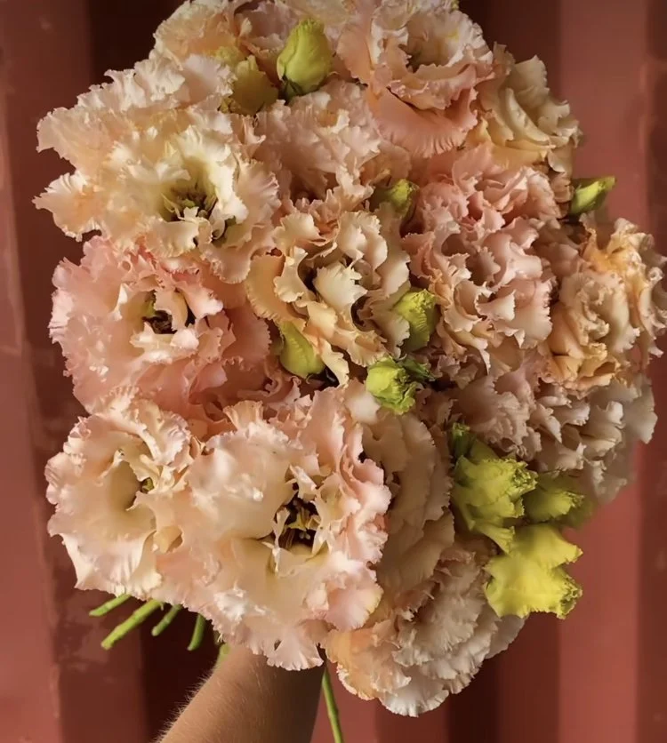 image0 - 2023-08-21T144929.528.jpeg