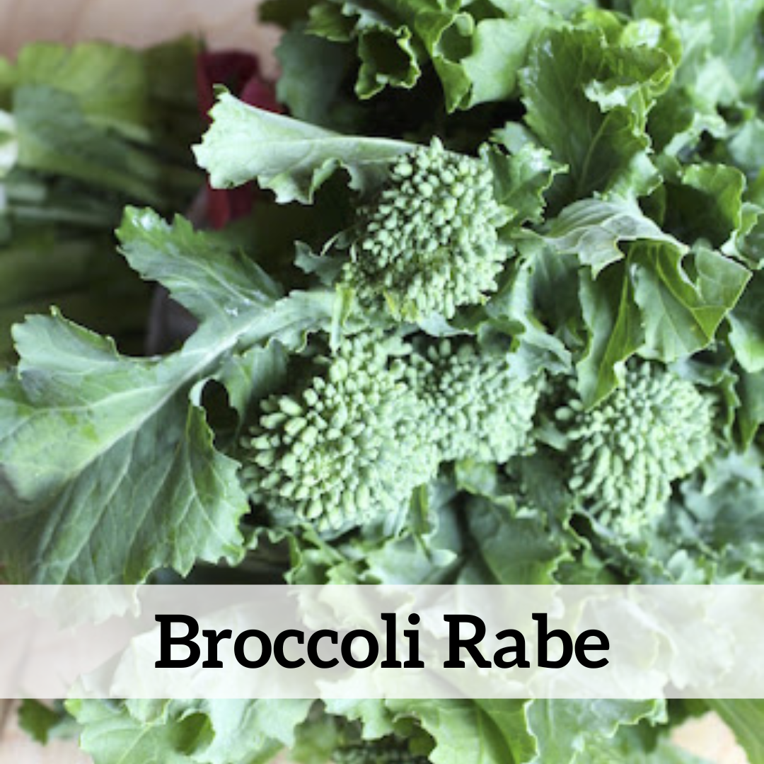 Your paragraph text (5).png