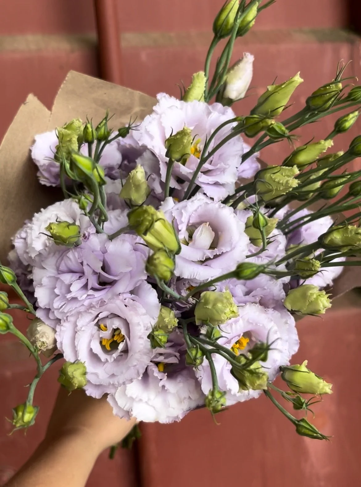 View recent photos (7).jpeg