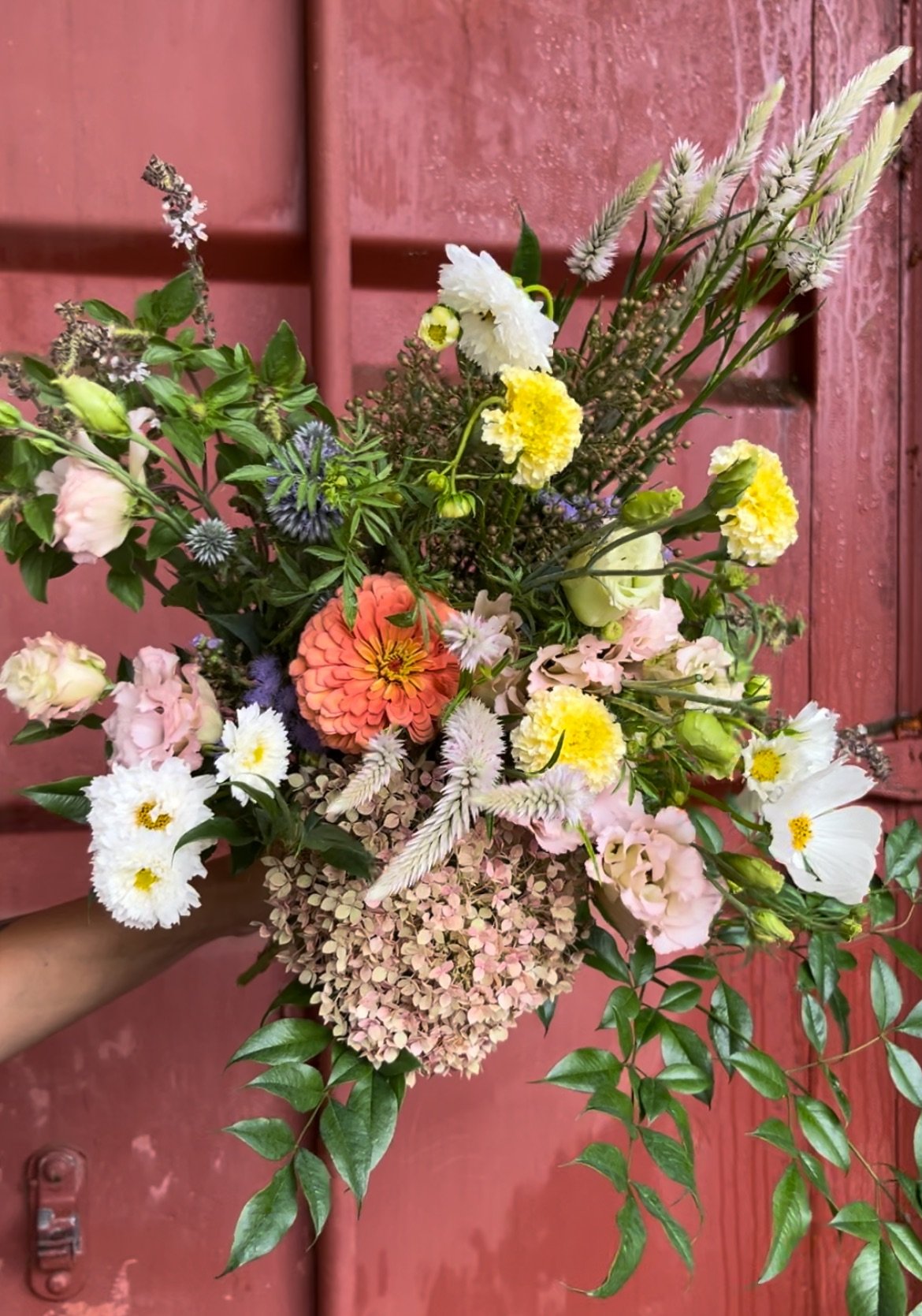 View recent photos (8).jpeg