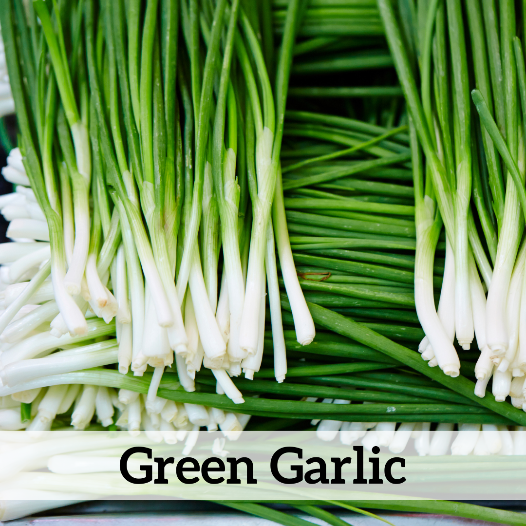 Your paragraph text (50).png