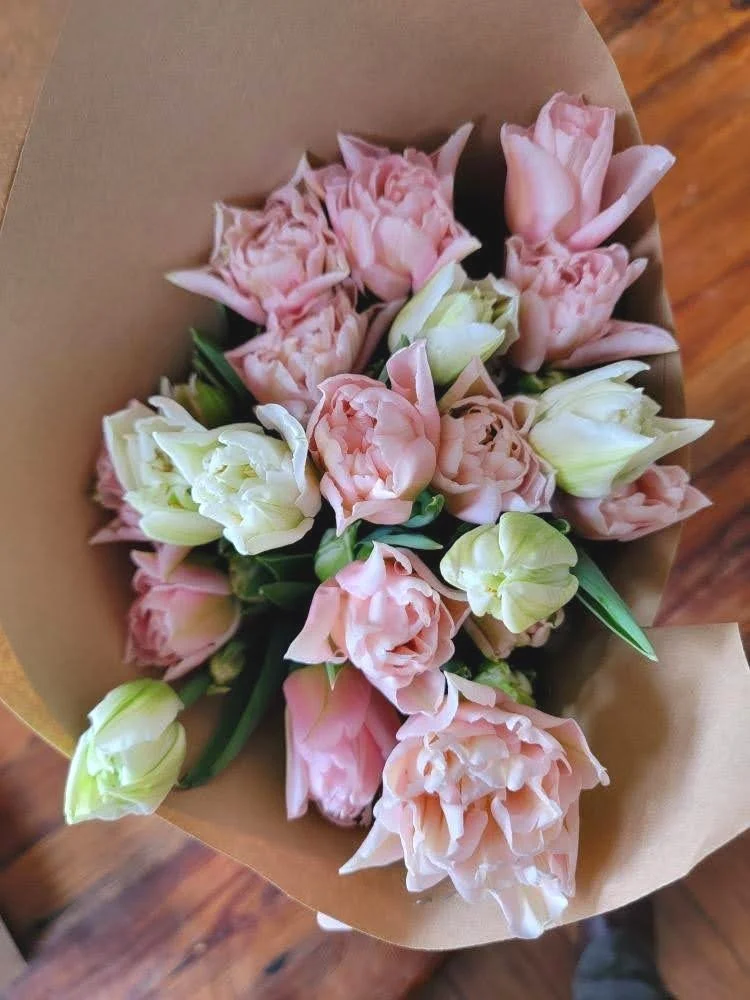 Tulip%2C+Double+Dreamer+%2B+Mondials.jpg
