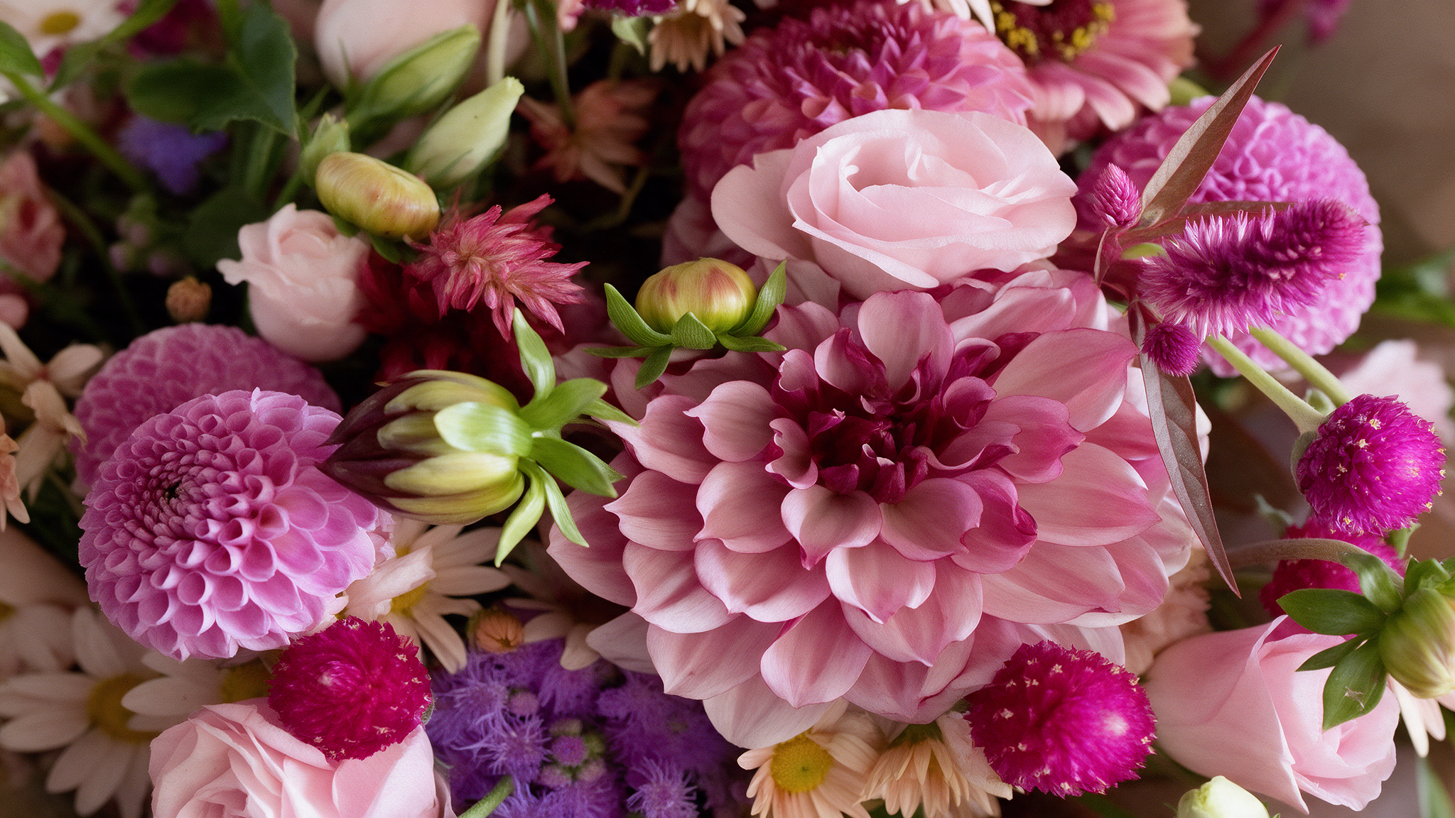 magnific__img1-make-this-image-resolution-less-fuzzy-and-rem__96883.png
