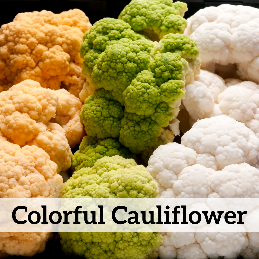 Your paragraph text (49).png