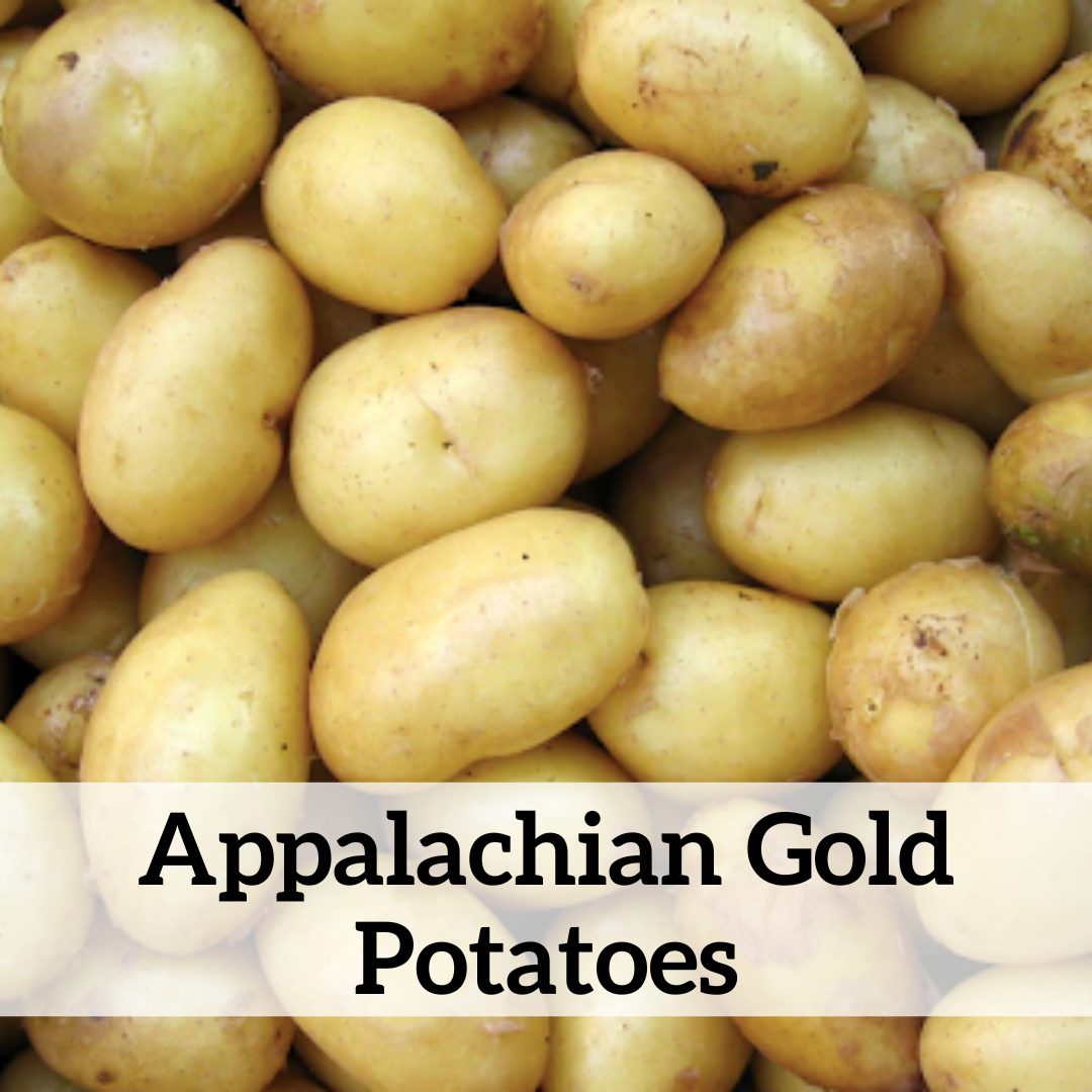 Your paragraph text (1).png