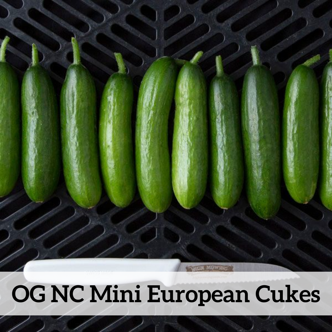 Your paragraph text (7).png