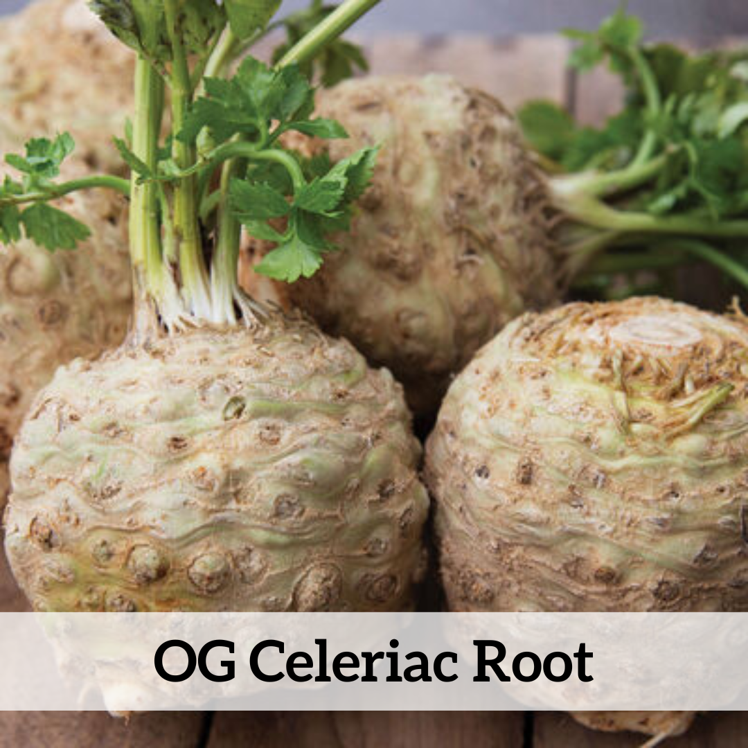 Your paragraph text (6).png