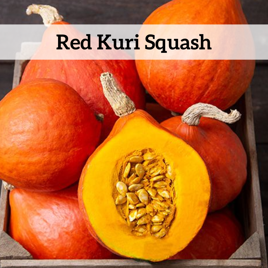 Your paragraph text (73).png