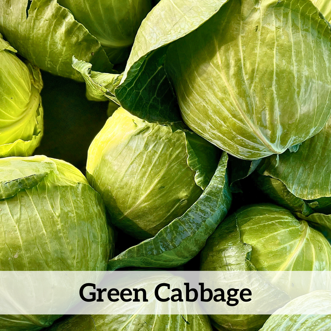 Your paragraph text (78).png