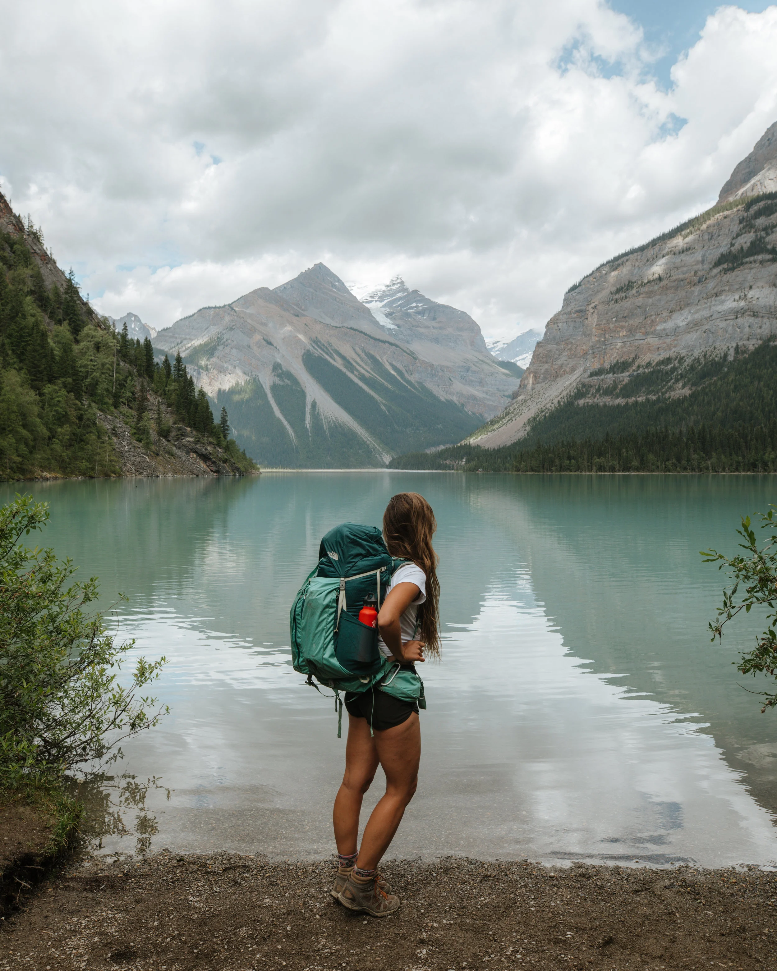 robson pass campground