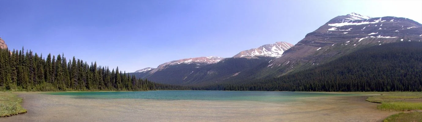 364970.jpg
