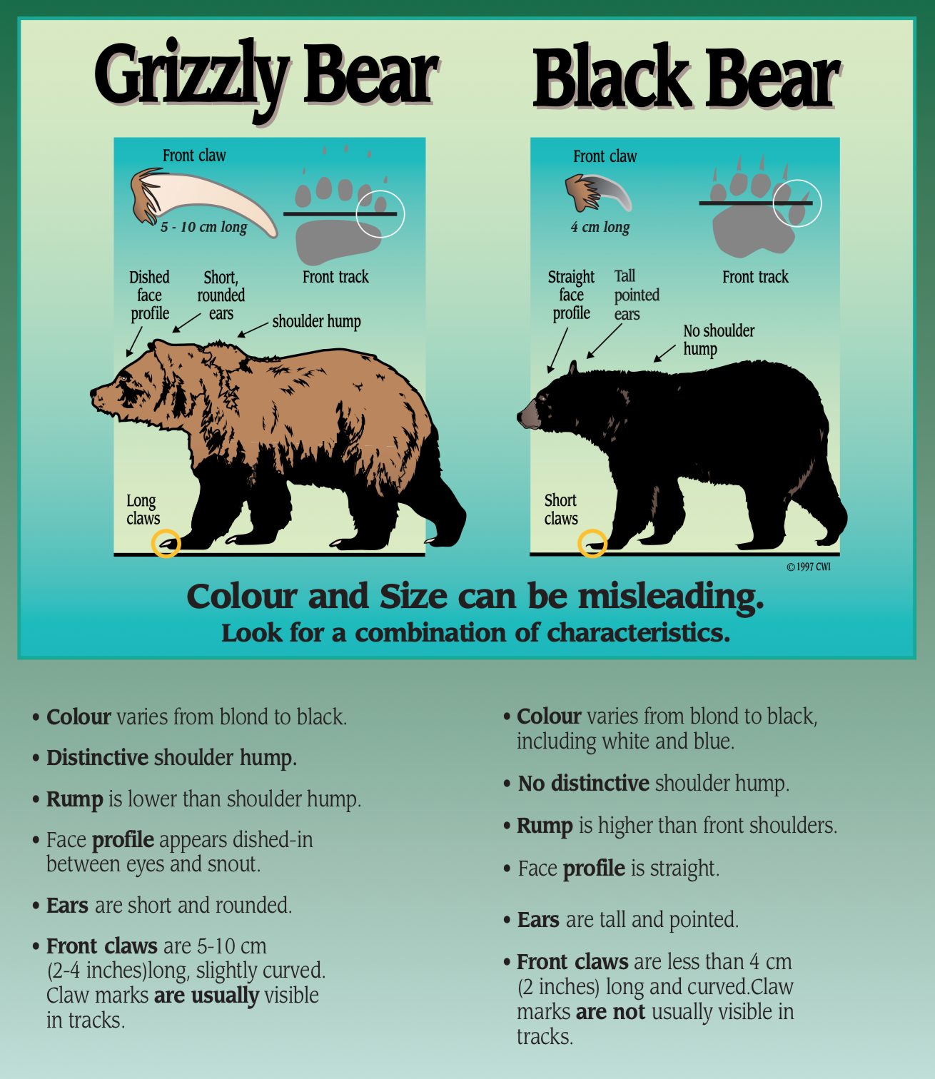 Image from BC Parks 