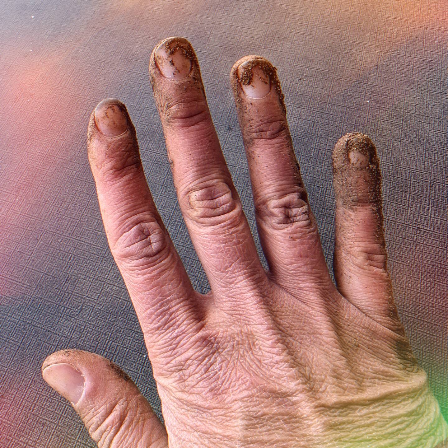 Anyone else rockin the #gardenfrenchmanicure these days? 

Planted gogi berries, autumn joy sedum, catnip, yarrow, hyssop, and coreopsis today. 

I really need to move somewhere where the growing season is longer than 2.5 months 🤣 

But I am meeting