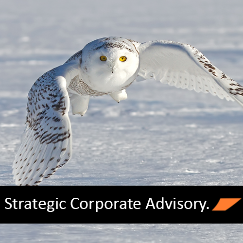 Strategic Corporate Advisory.