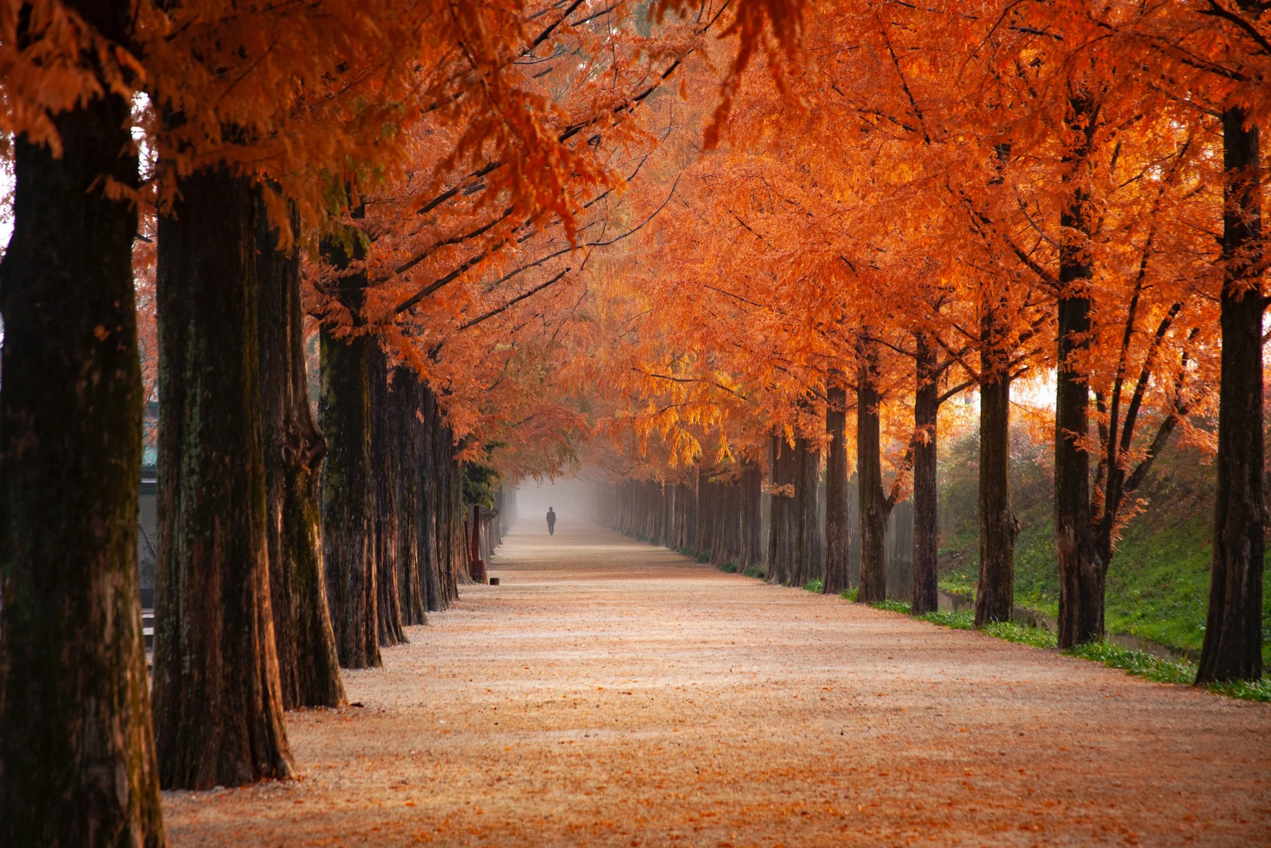An Autumn of discountent