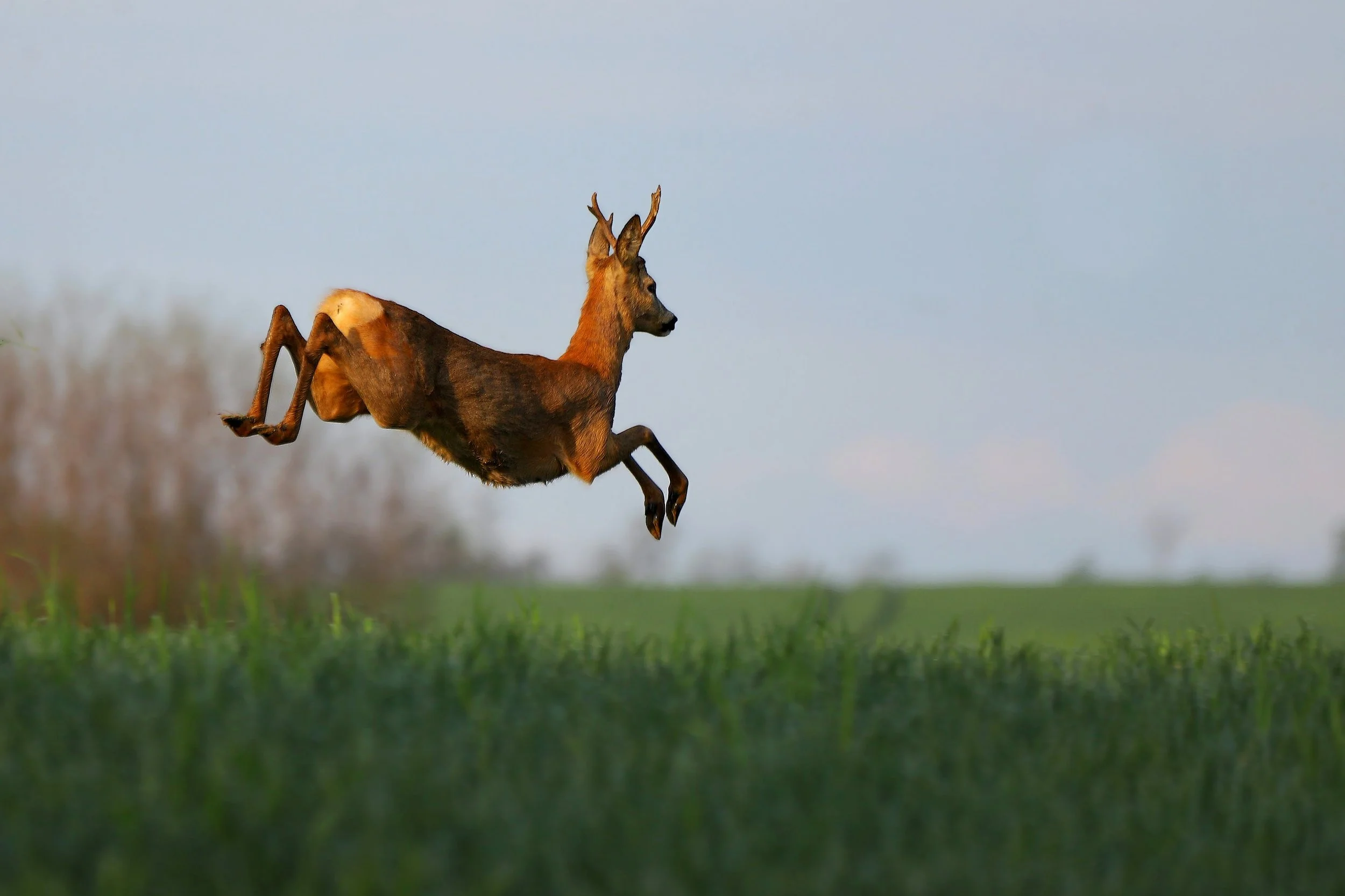 The curious case of Stagflation and why you should care