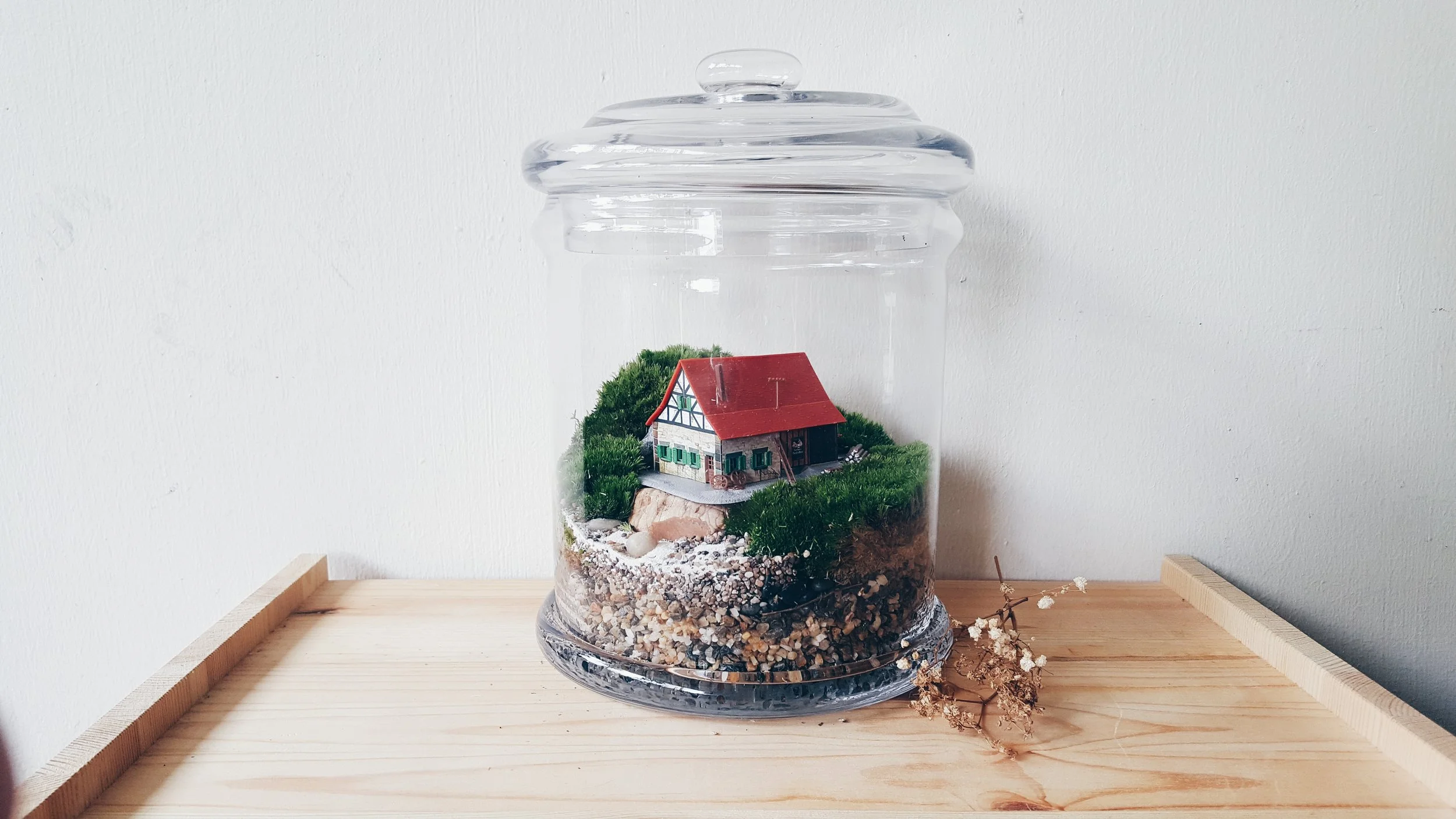 Terrarium Customisation ($160-$300)