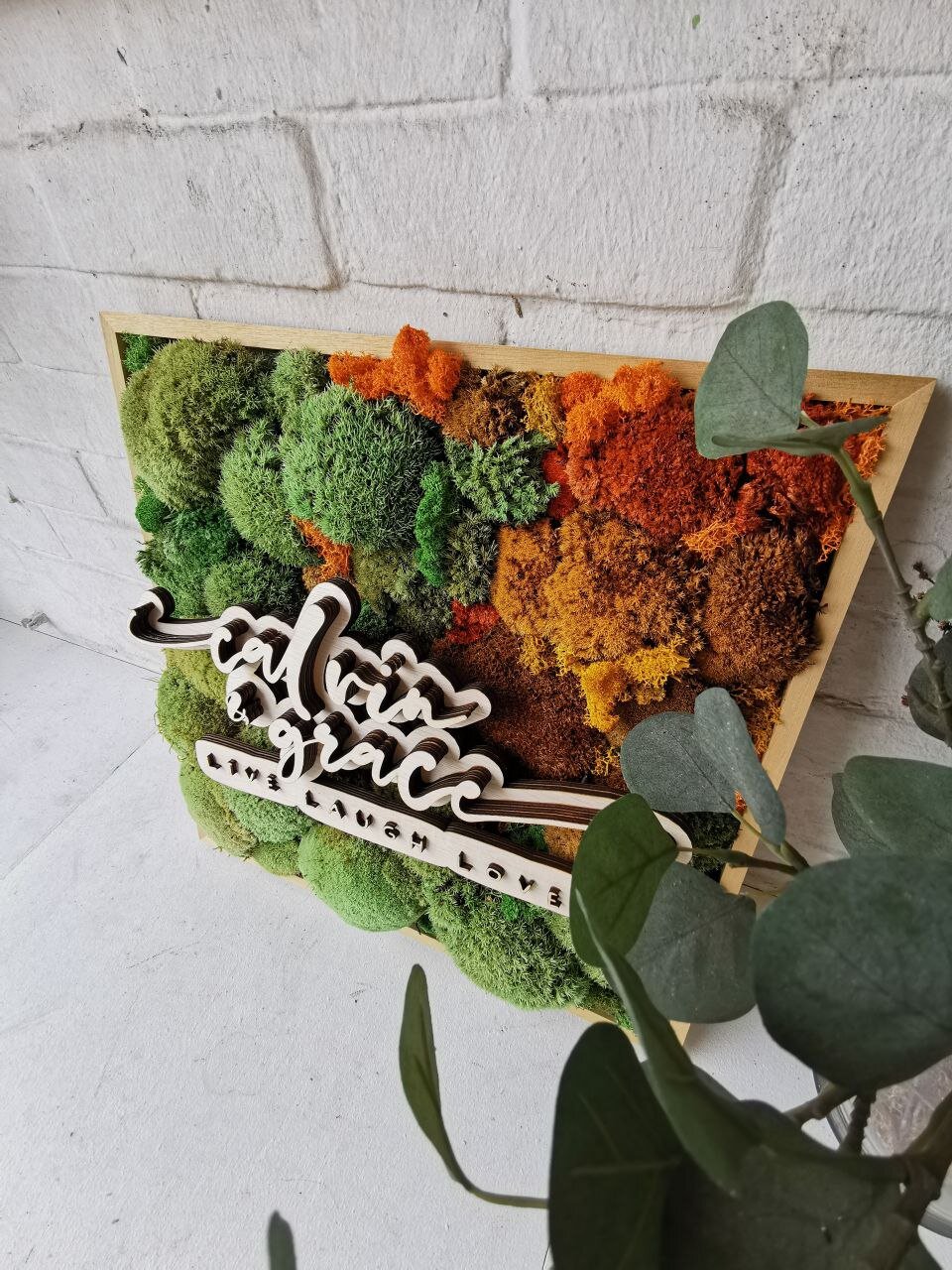 Quarter Meter Square Preserve MossFrame