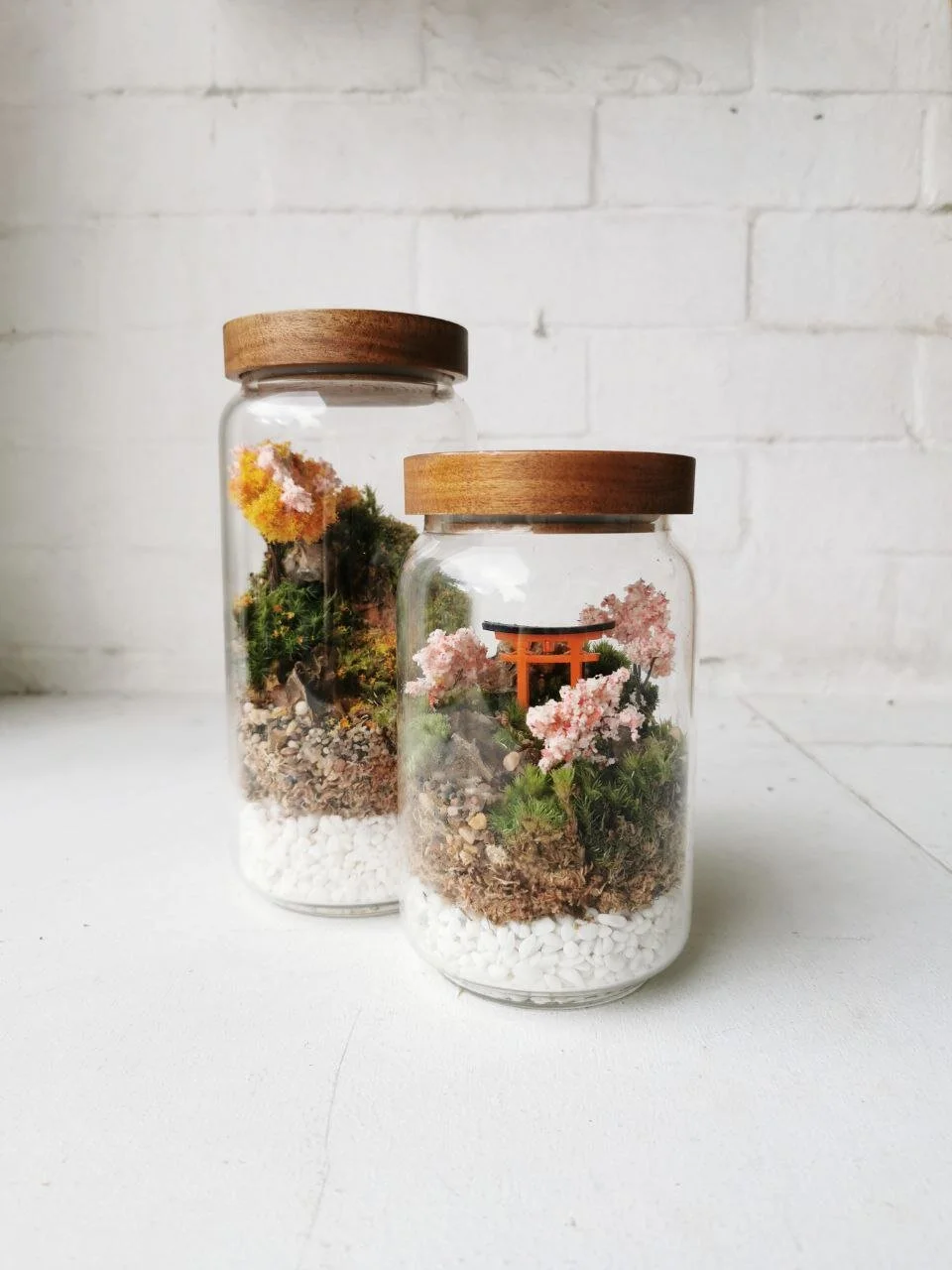 Laser Lid Terrarium