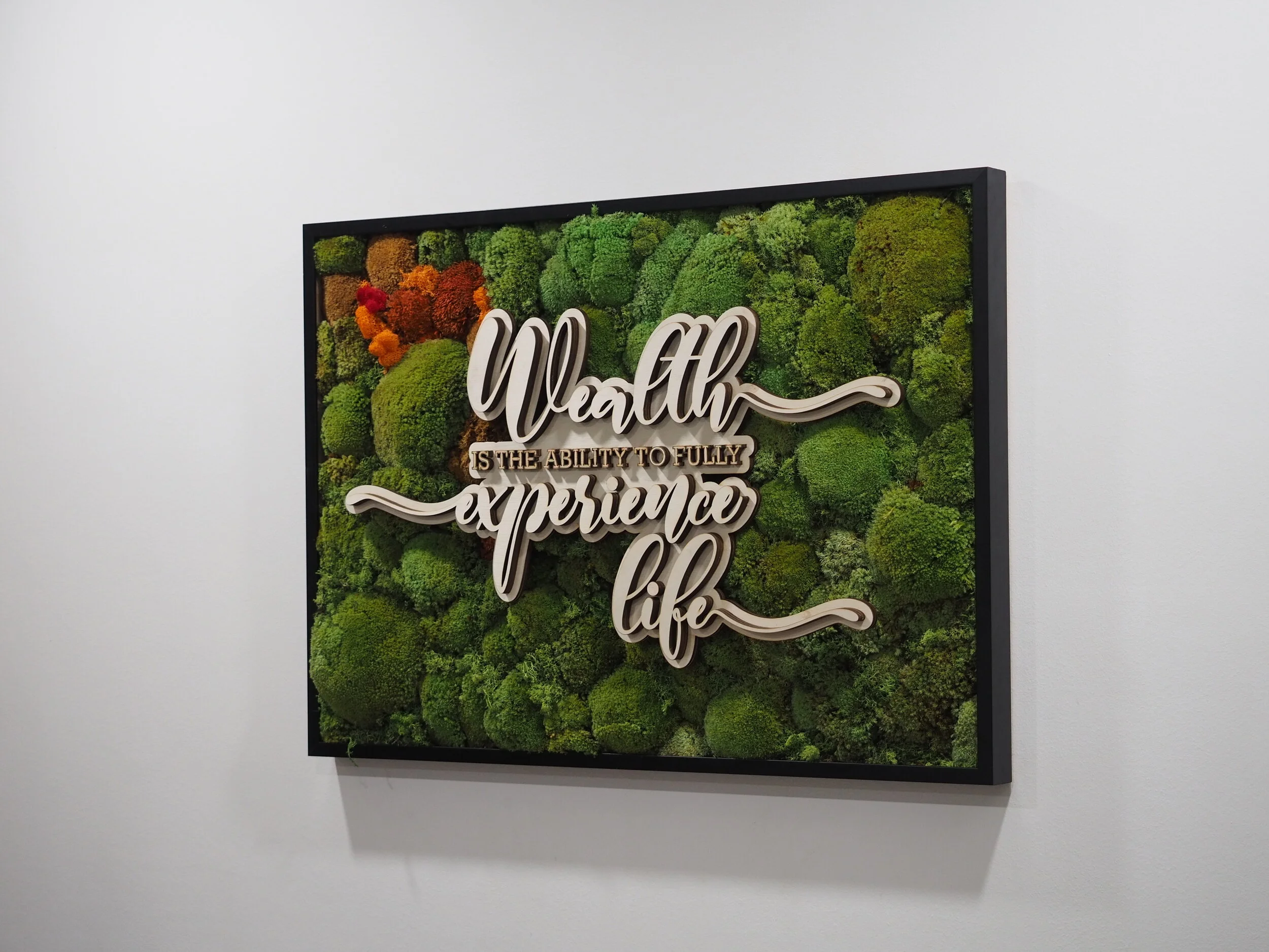 Wealth is the Ability to Experience Life