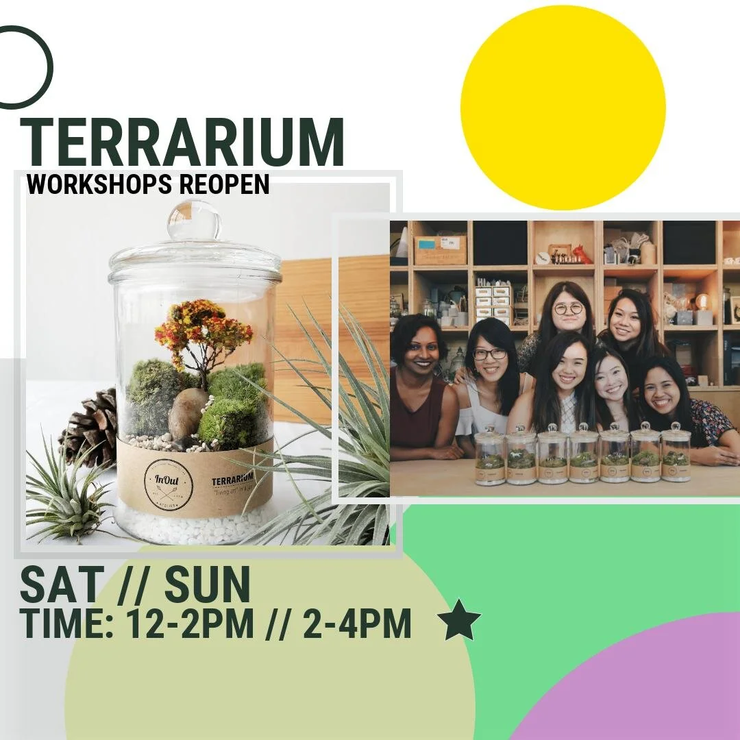 TERRARIUM WORKSHOP REOPENS