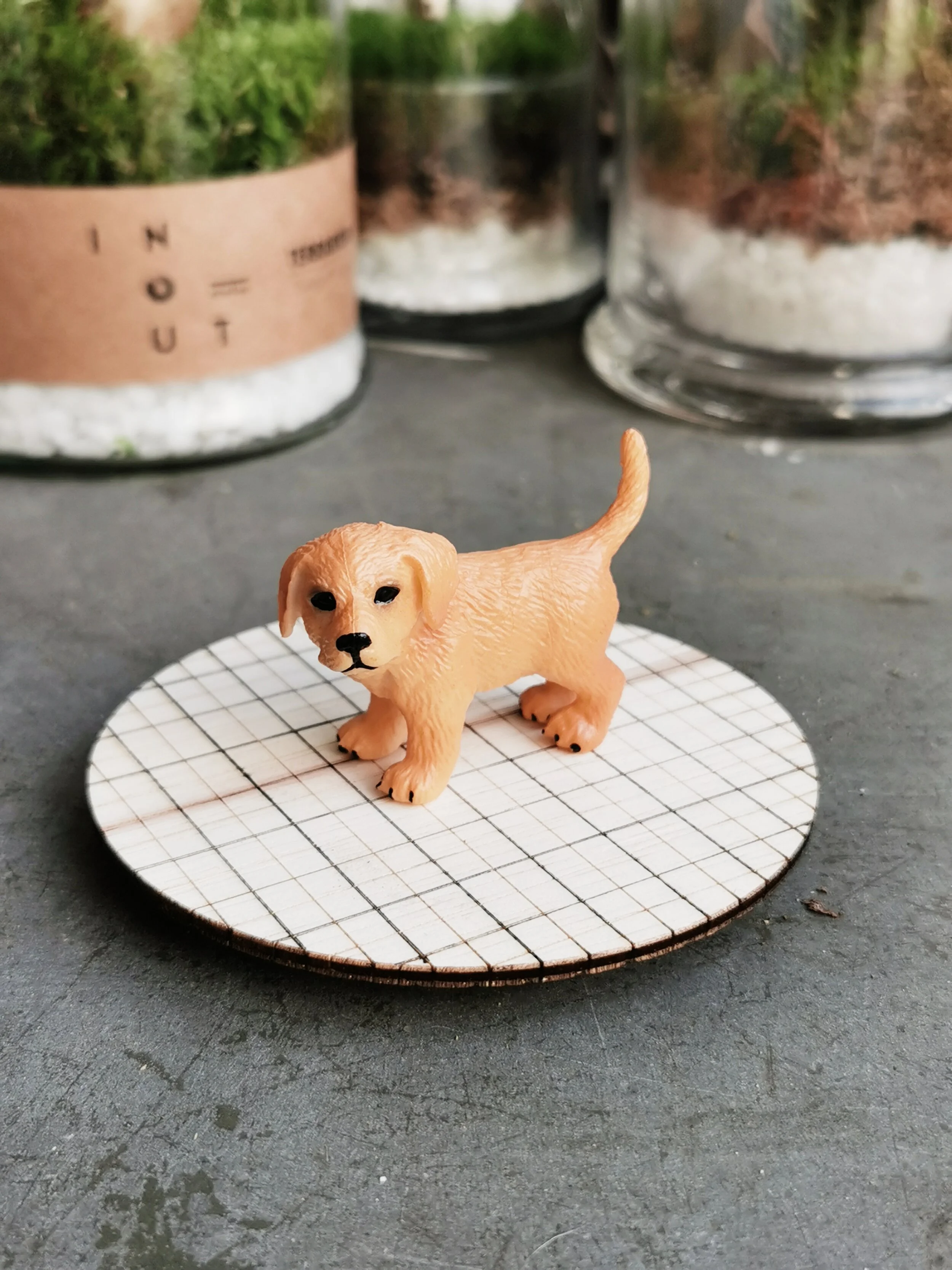 Golden Retriever (Puppy)