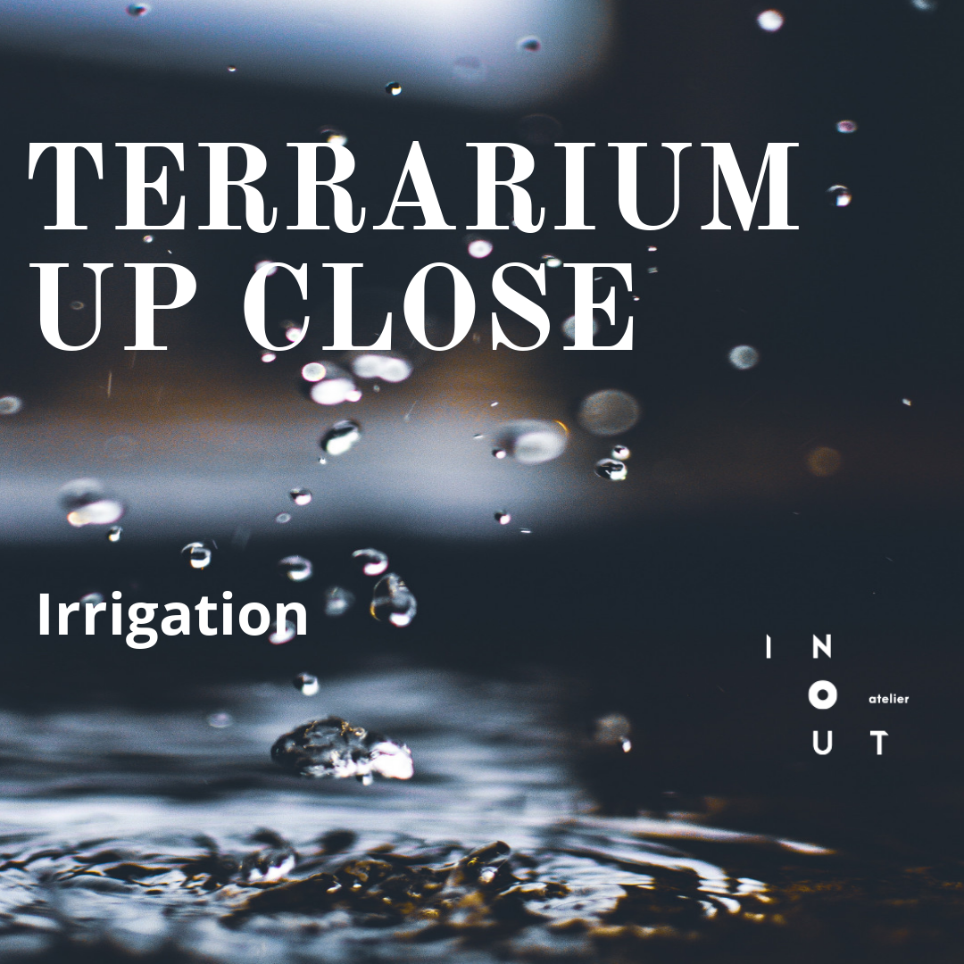 Terrarium Up Close - Irrigation