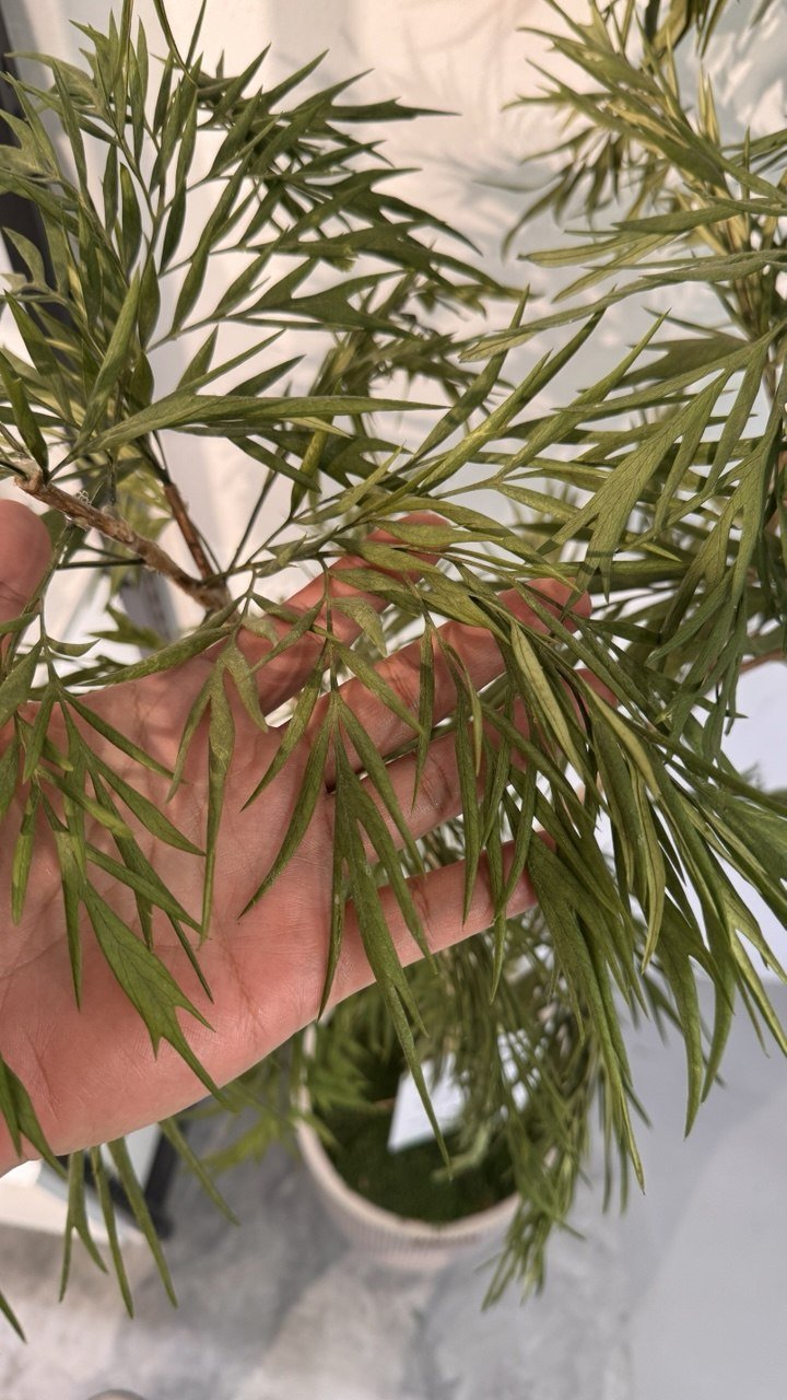 c8c61fca-c162-4517-801f-4913e4574bdb.jfif