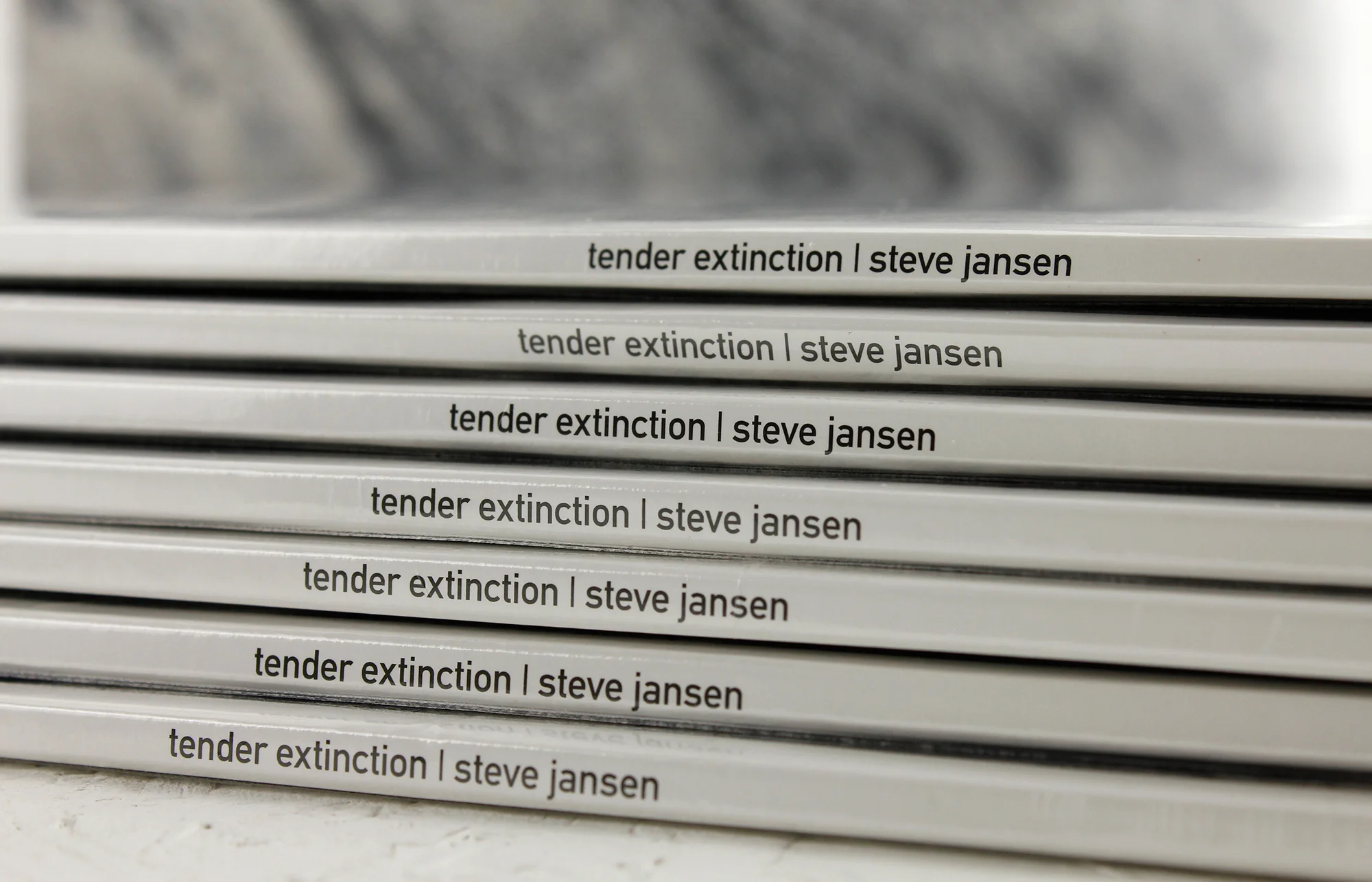 STEVE-JANSEN-DETAIL-2.jpg