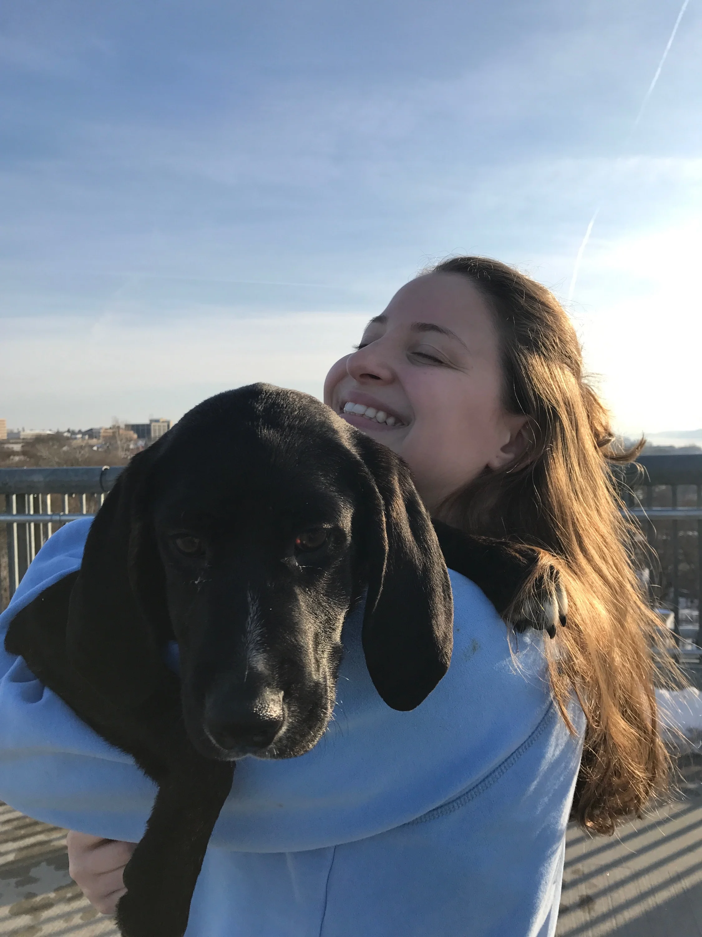 Looking into Marist's Service Animal Policy