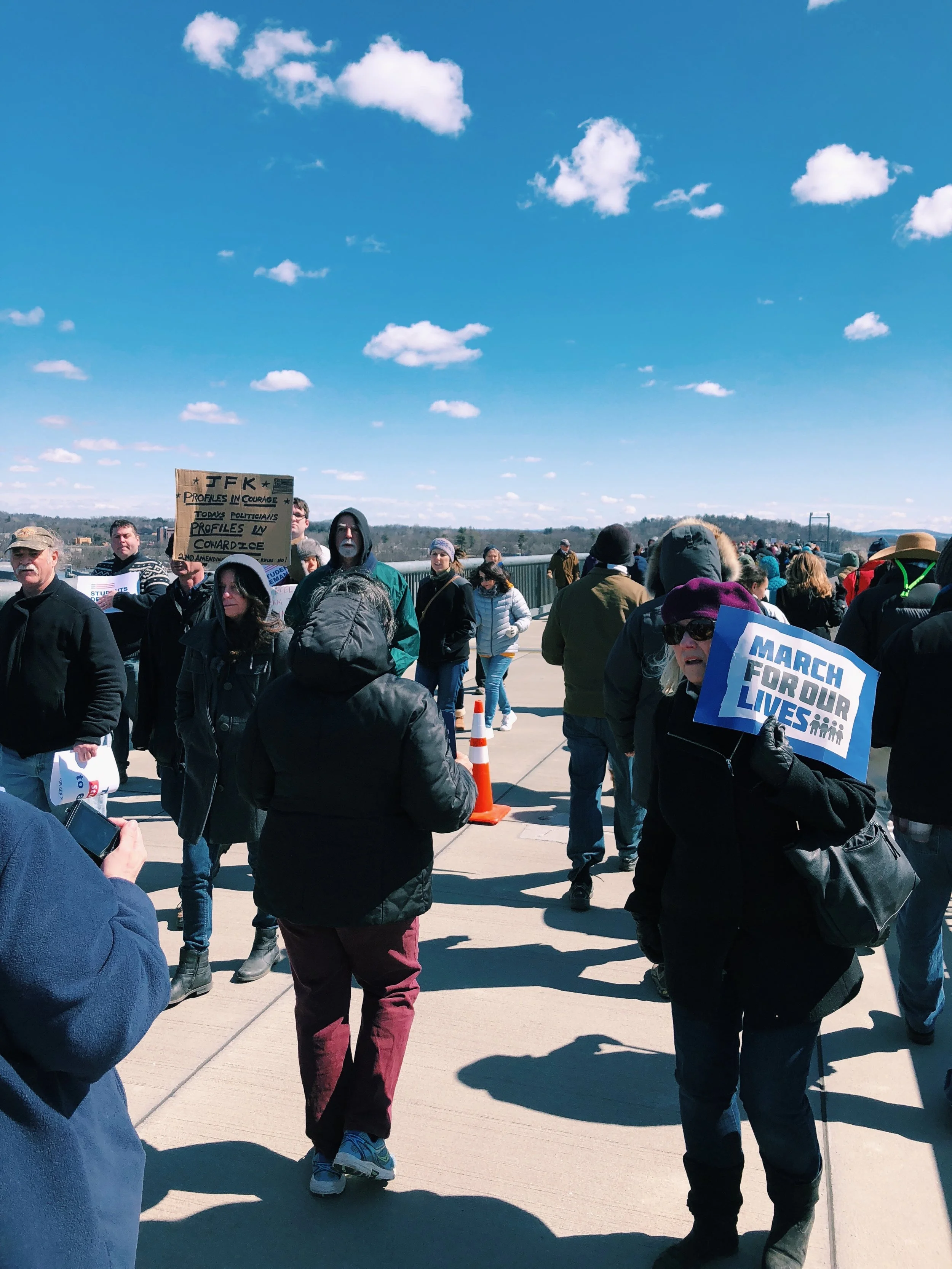 Over 7,000 attend March for Our Lives, Poughkeepsie. Photo Courtesy of Madison Vettorino. 