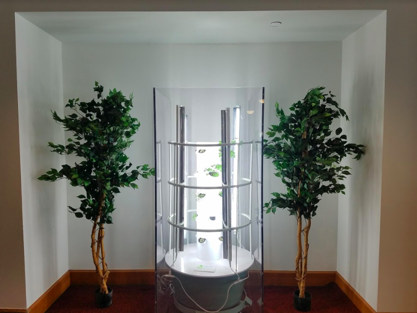 The Hydro-phony Garden
