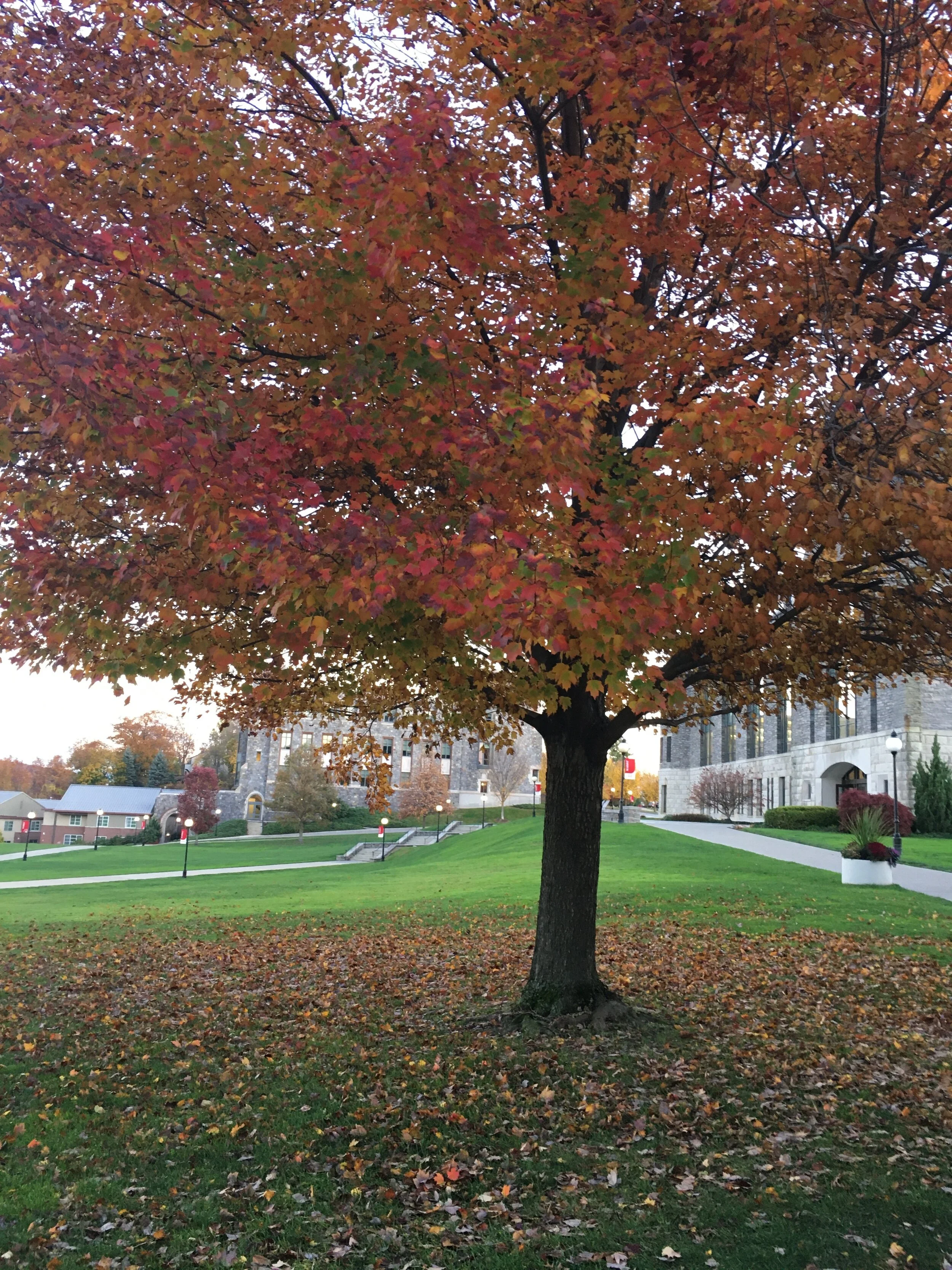 Marist Seniors Enter What Could Be the Worst Job Market of their Lifetime 