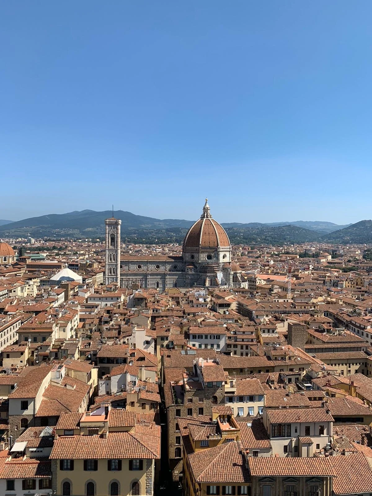 The Hidden Class of 2020: Marist Italy BA Students Part with Florence