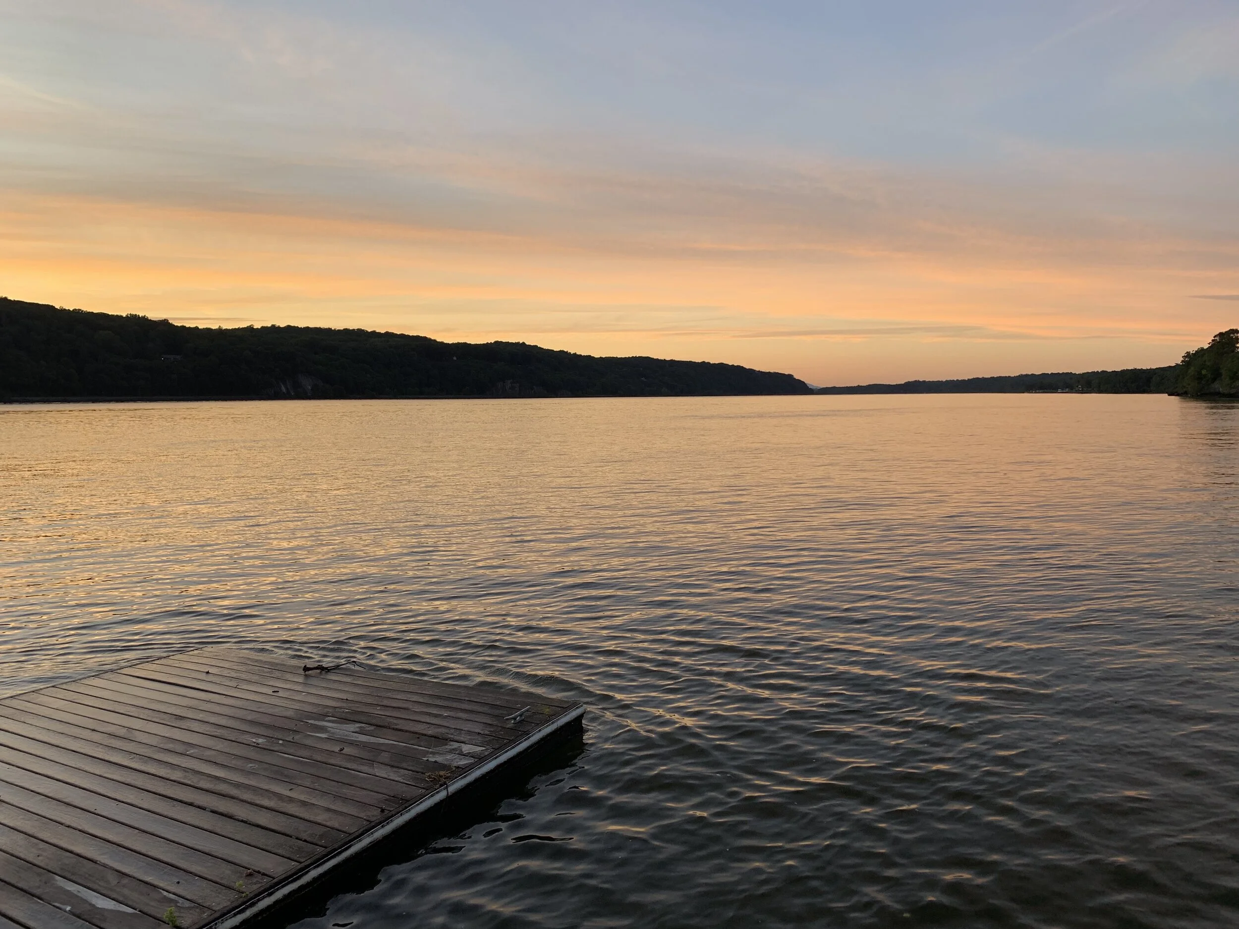 Pandemic and Pollution in the Hudson River Valley