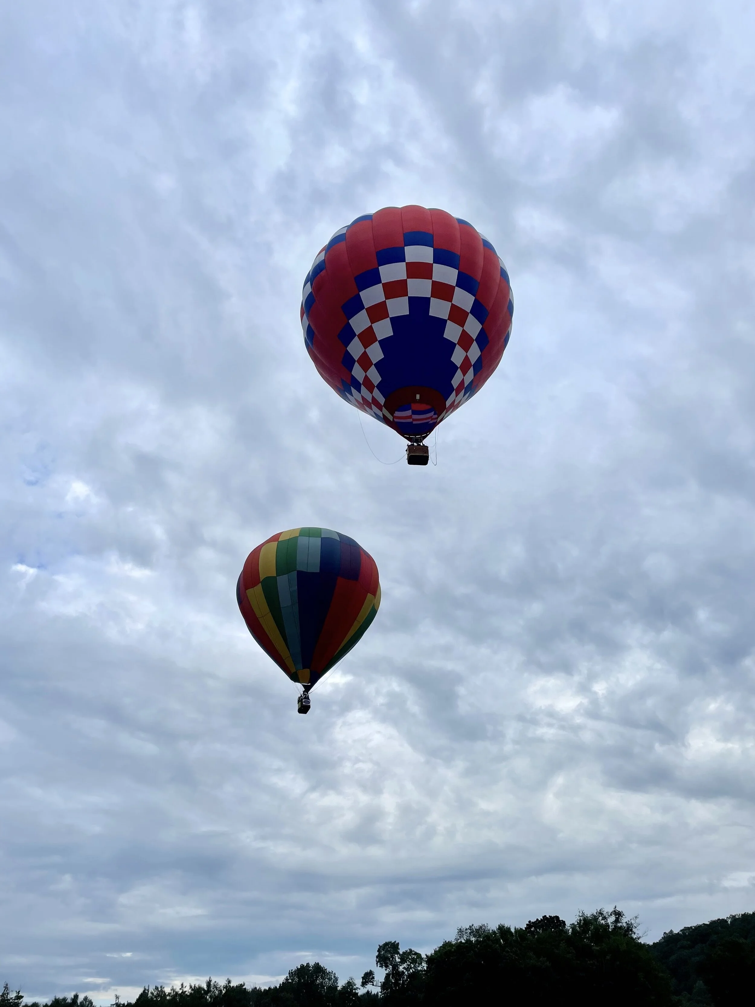 The View from a Hot-Air Balloon