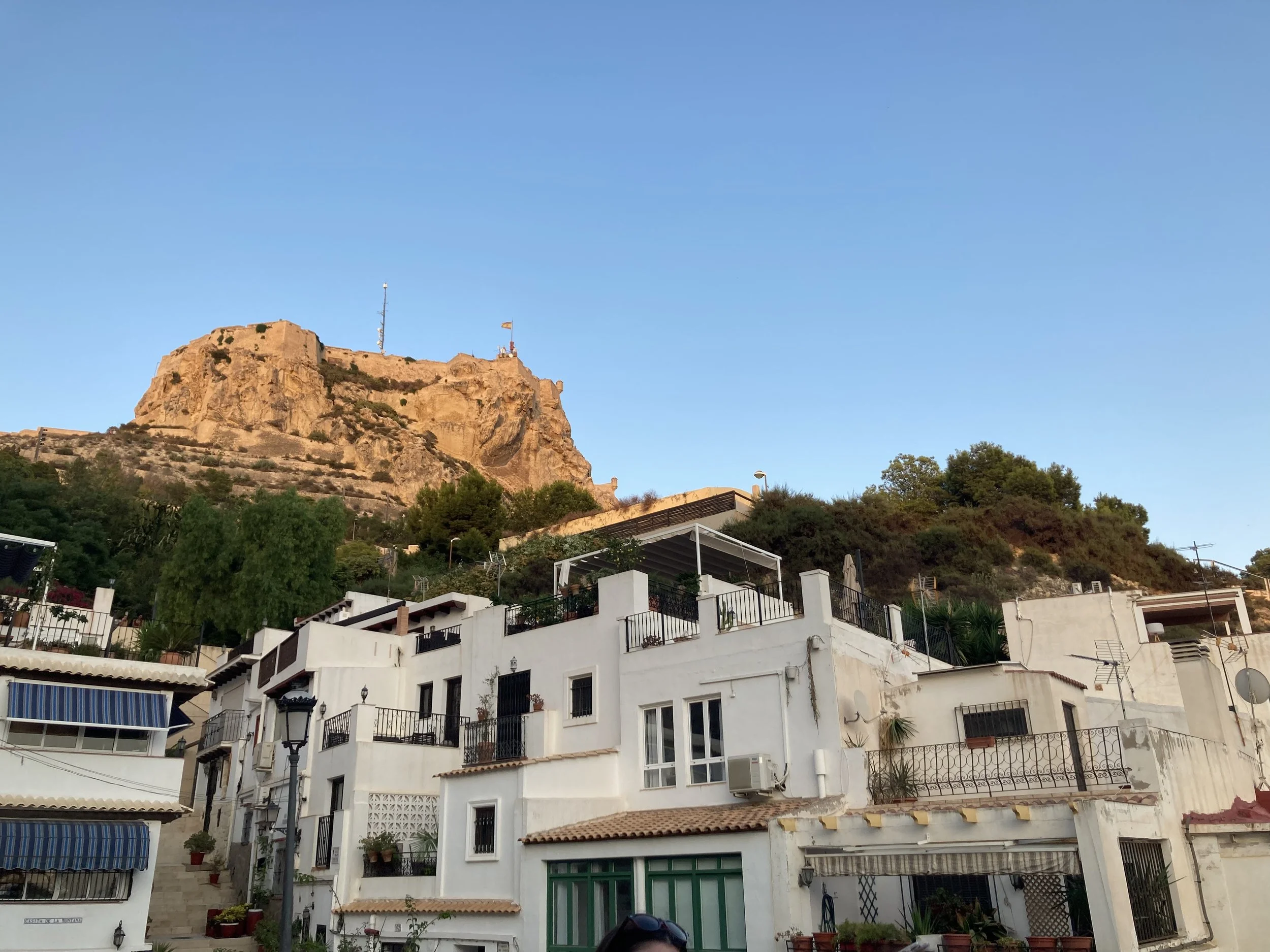 Marist Students Return from Studying Abroad During COVID-19