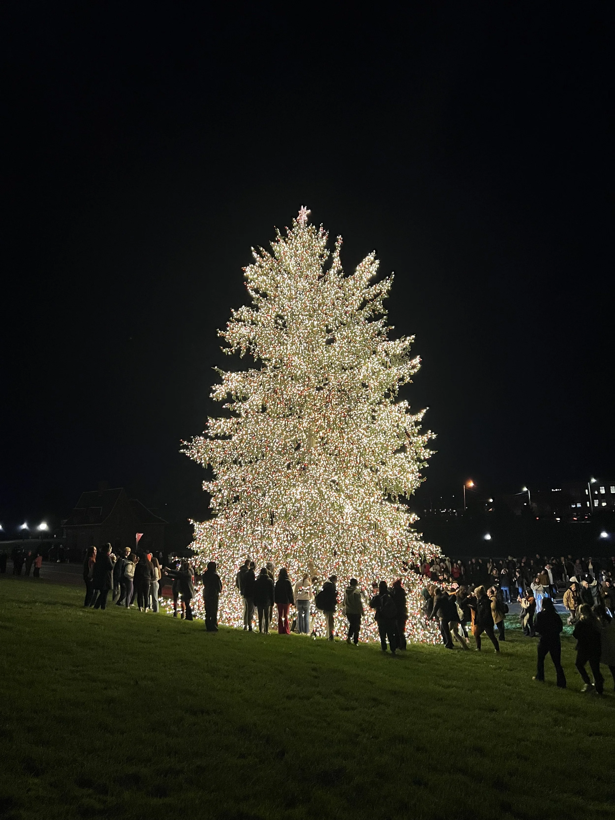 Campus Christmas Tree Lighting 2022