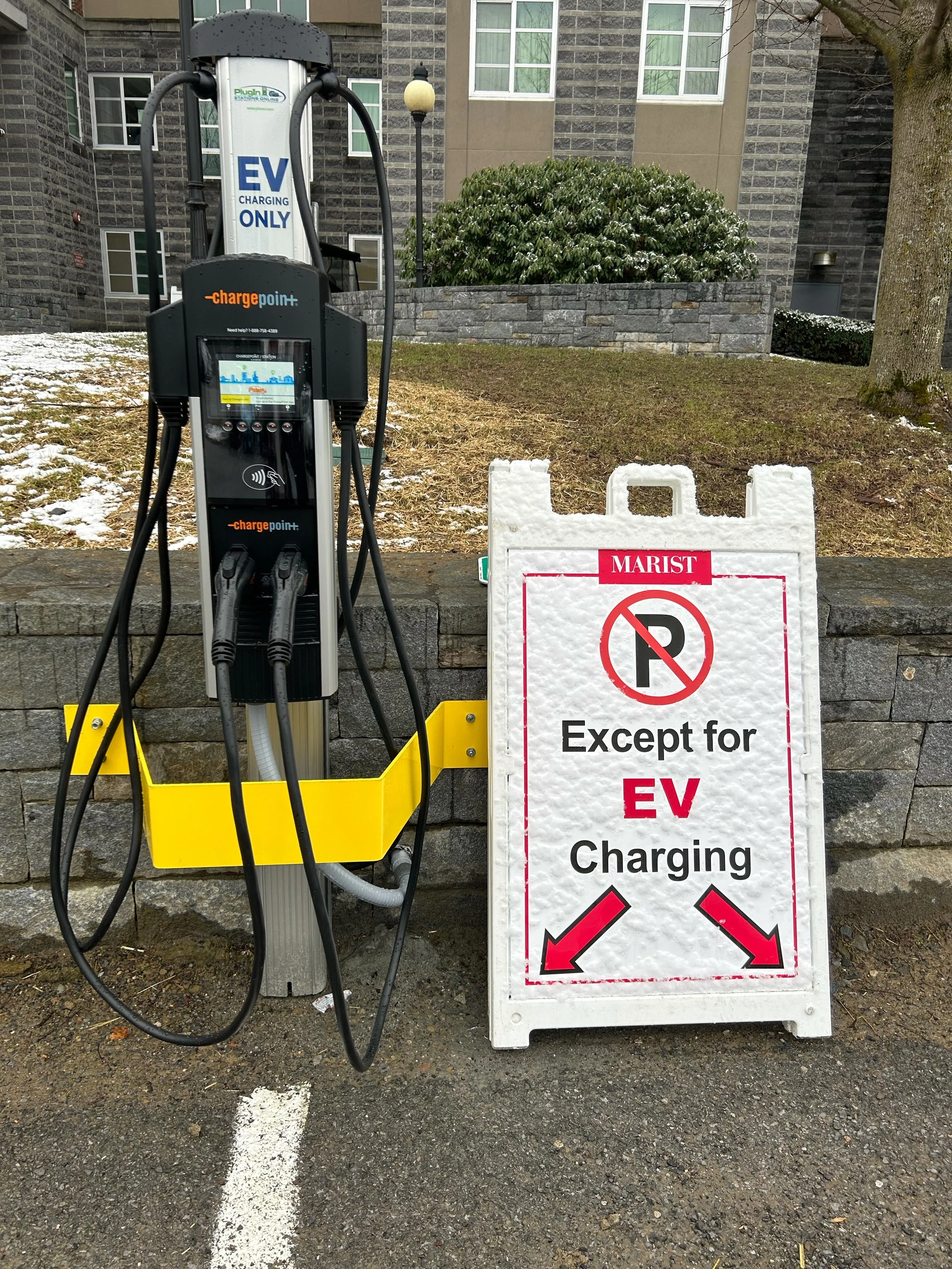 Electric Vehicle Stations Bring Ecofriendliness to Campus