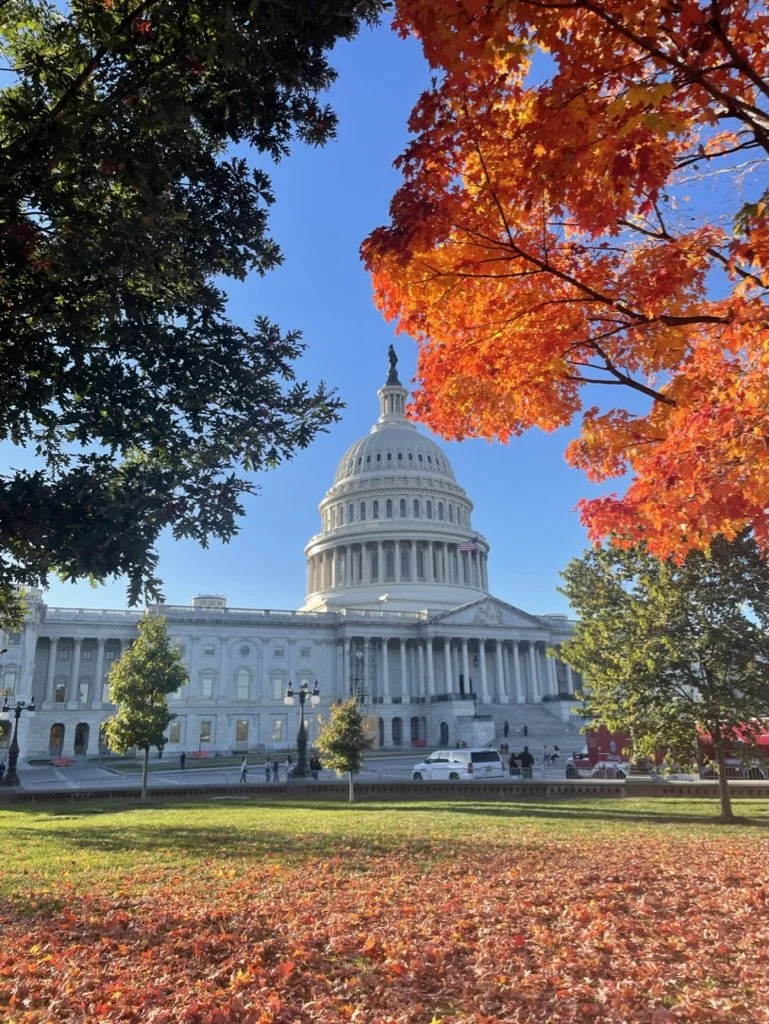 Intern in DC through the Washington Semester Program