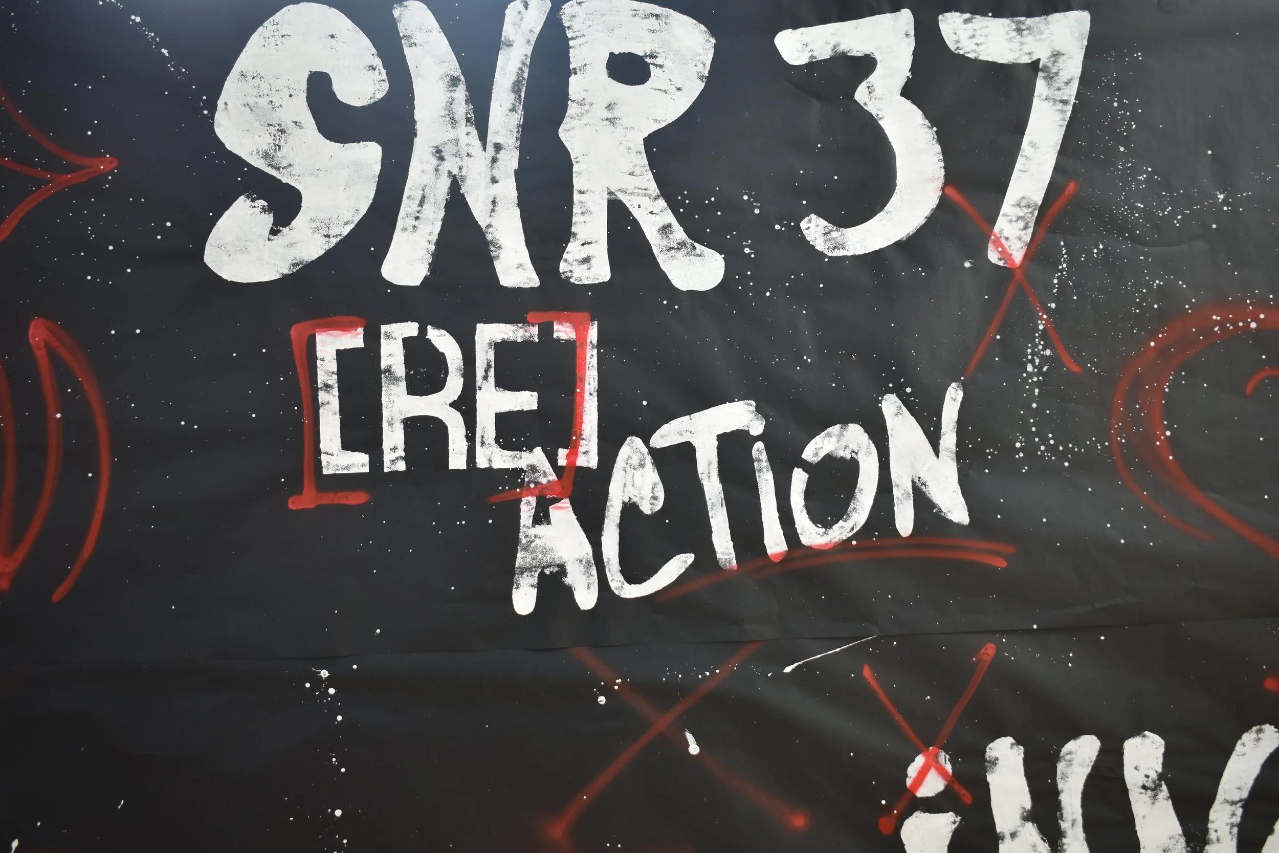 Aleena Brown Wins Designer of the Year at SNR’s 37th Annual Show