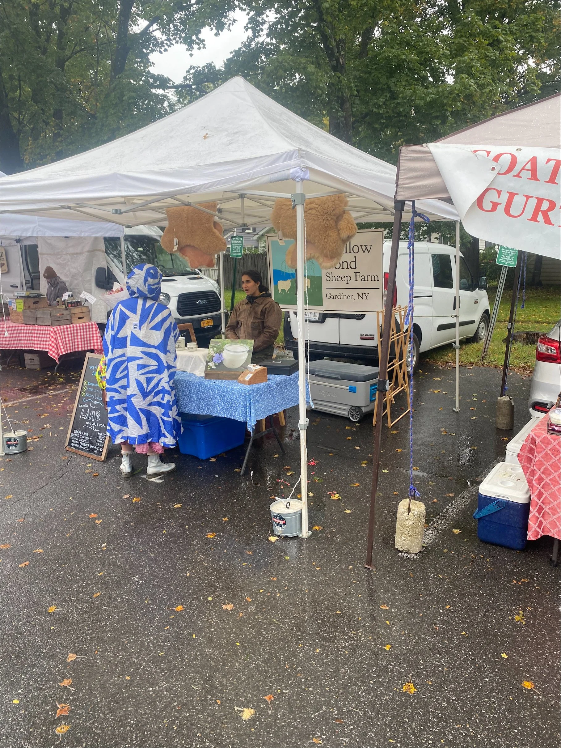 Hochul’s Local Food Initiative and the Future of its Sourcing