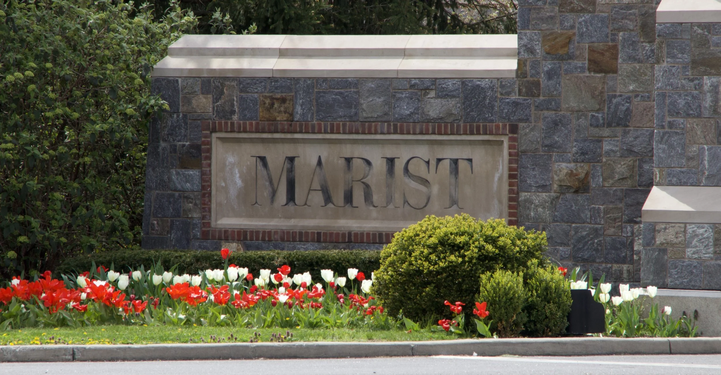 A New Era for Red Foxes? Considering a Change to Marist University 